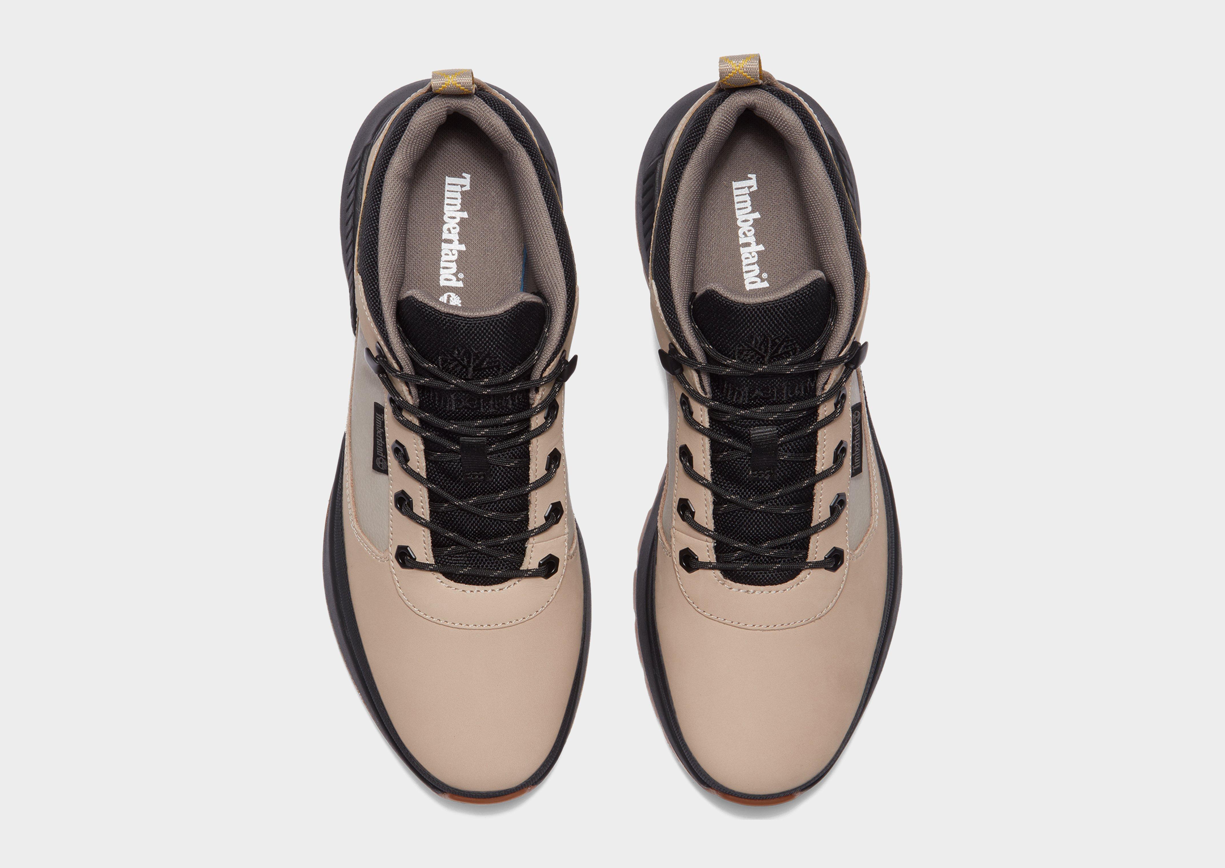 Timberland Field Trekker Low Lace Up Sneaker