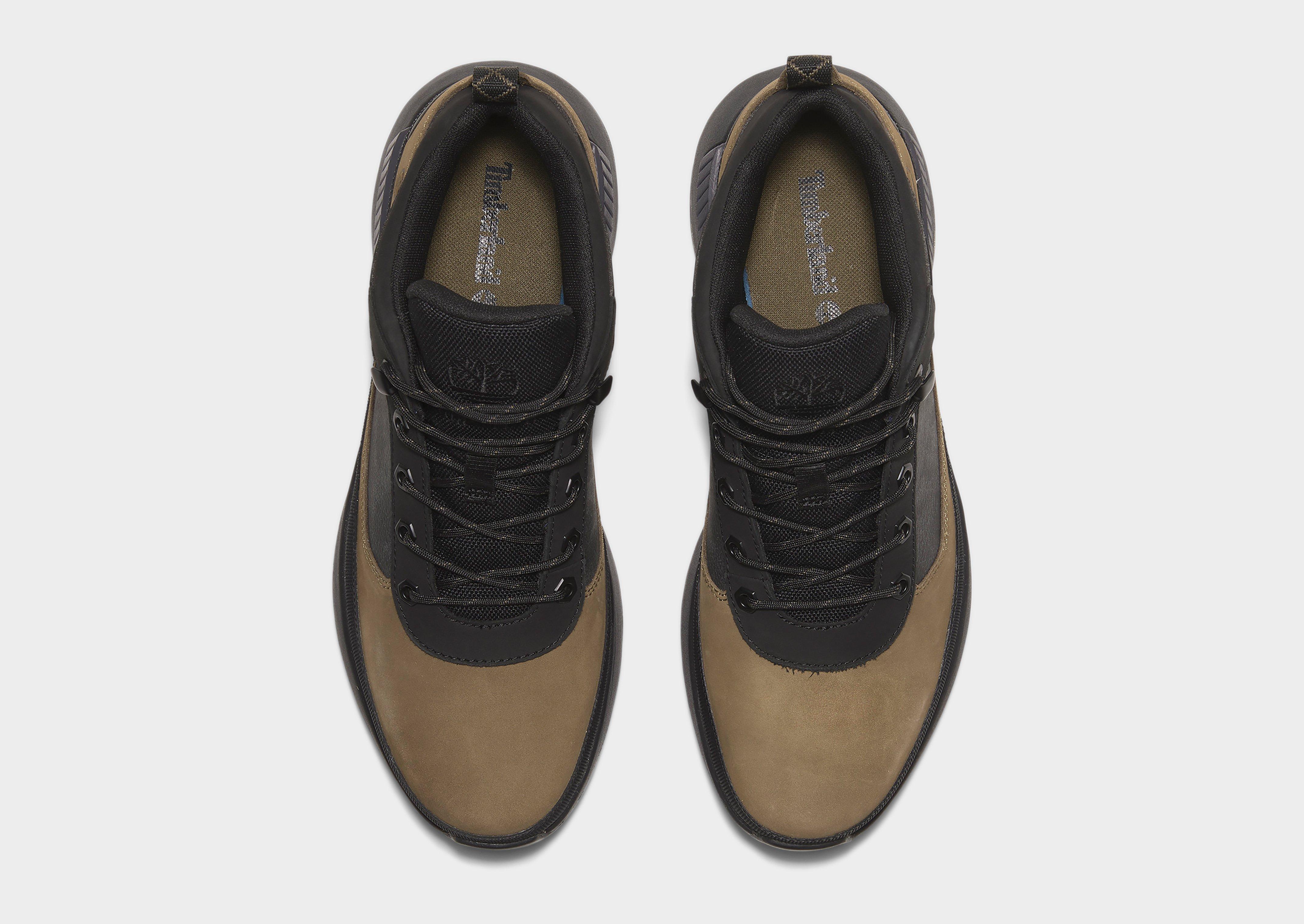 Timberland Field Trekker Low Lace Up Sneaker