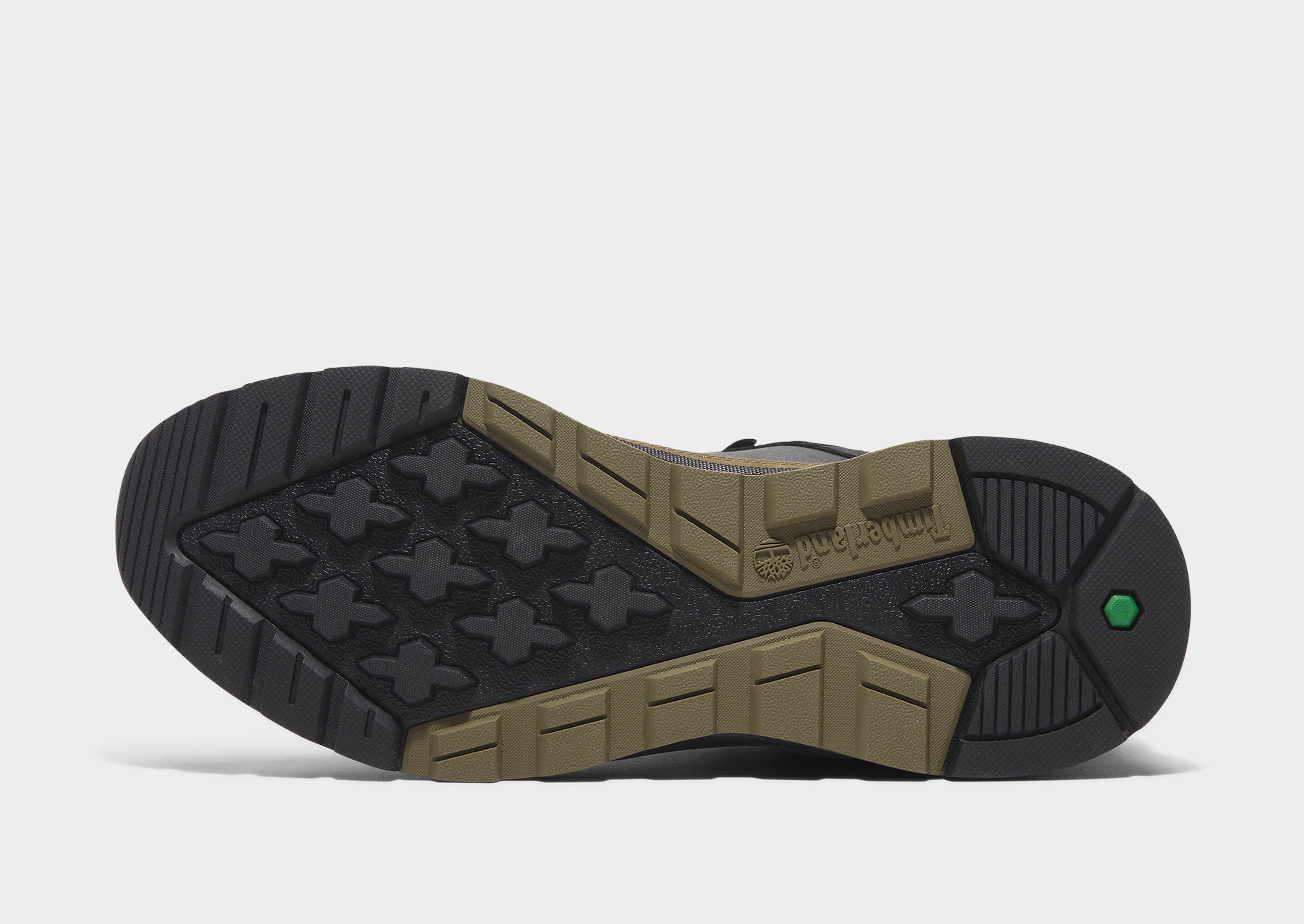 Timberland Field Trekker Low Lace Up Sneaker