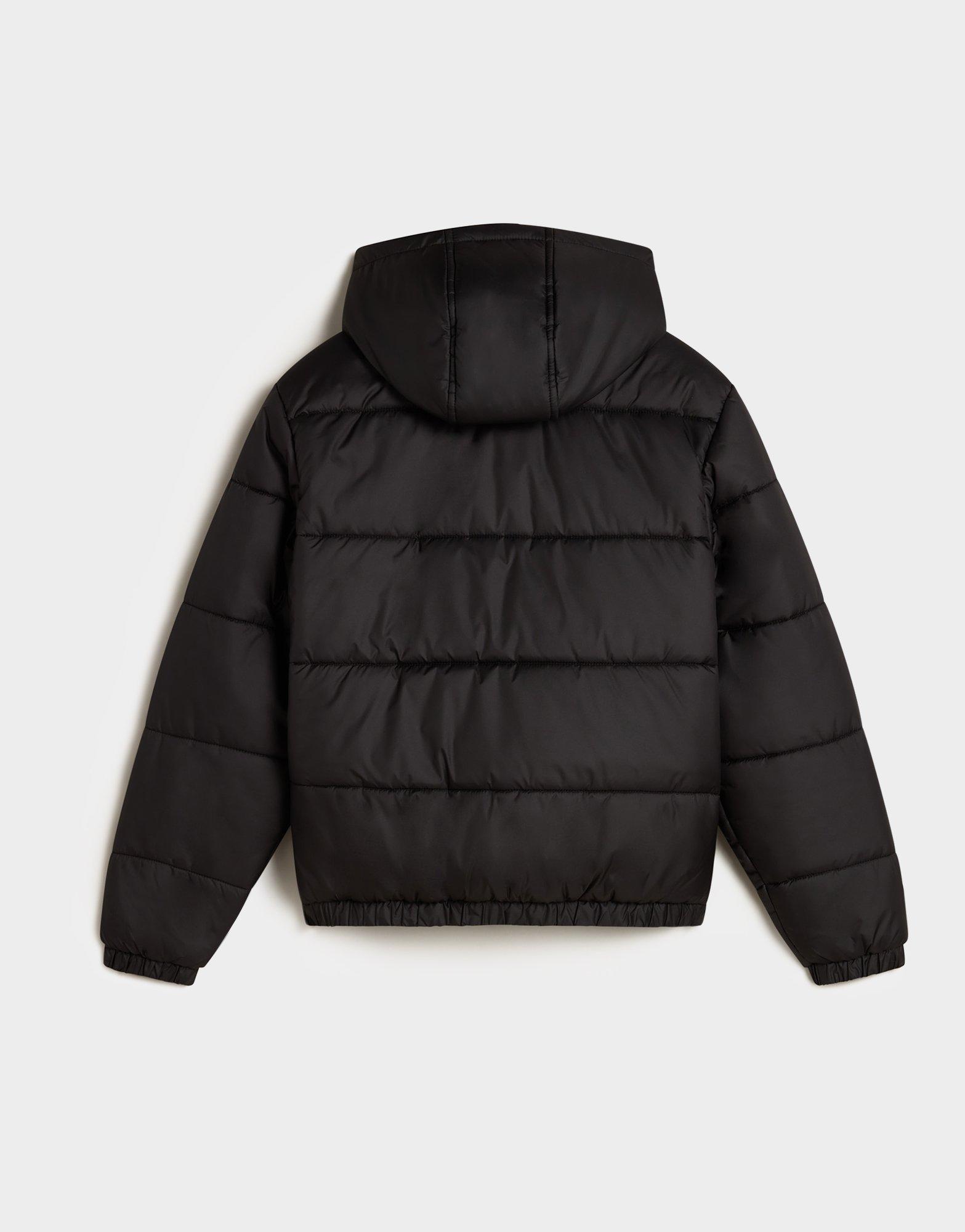 Vans Mte Hillgate Puffer