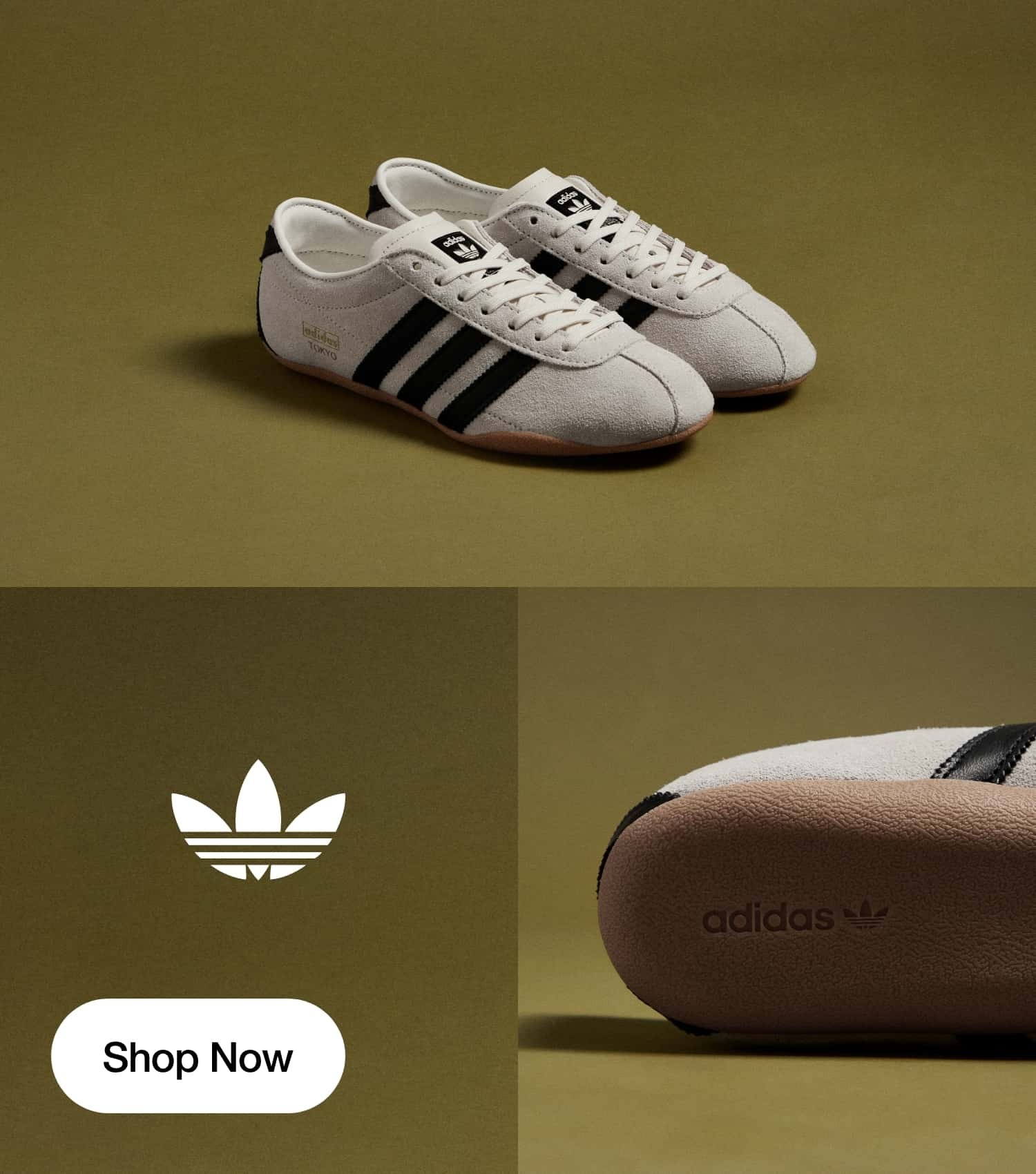 Global Supplier of Latest Footwear and Clothing | Rib Polo