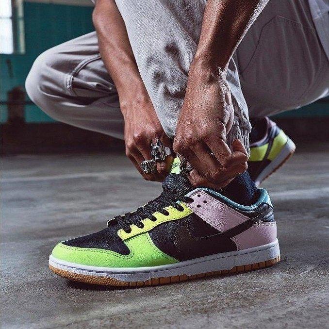 Nike Dunk in buntem Colourway