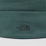 THE NORTH FACE NORM SKIMUTS GROEN