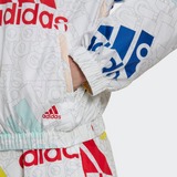 ADIDAS ESSENTIALS MULTI-COLORED LOGO LOOSE FIT OUTDOORJAS WIT DAMES