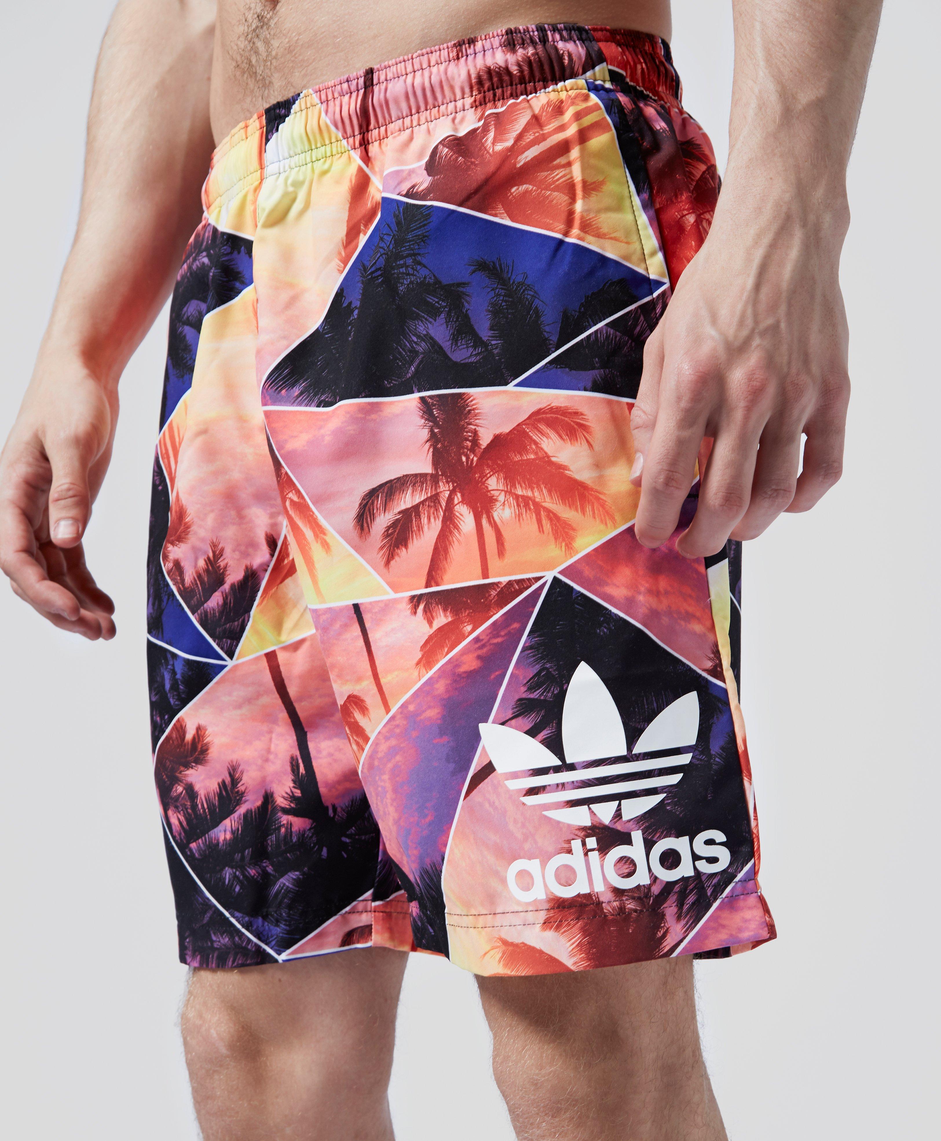 adidas palm shorts