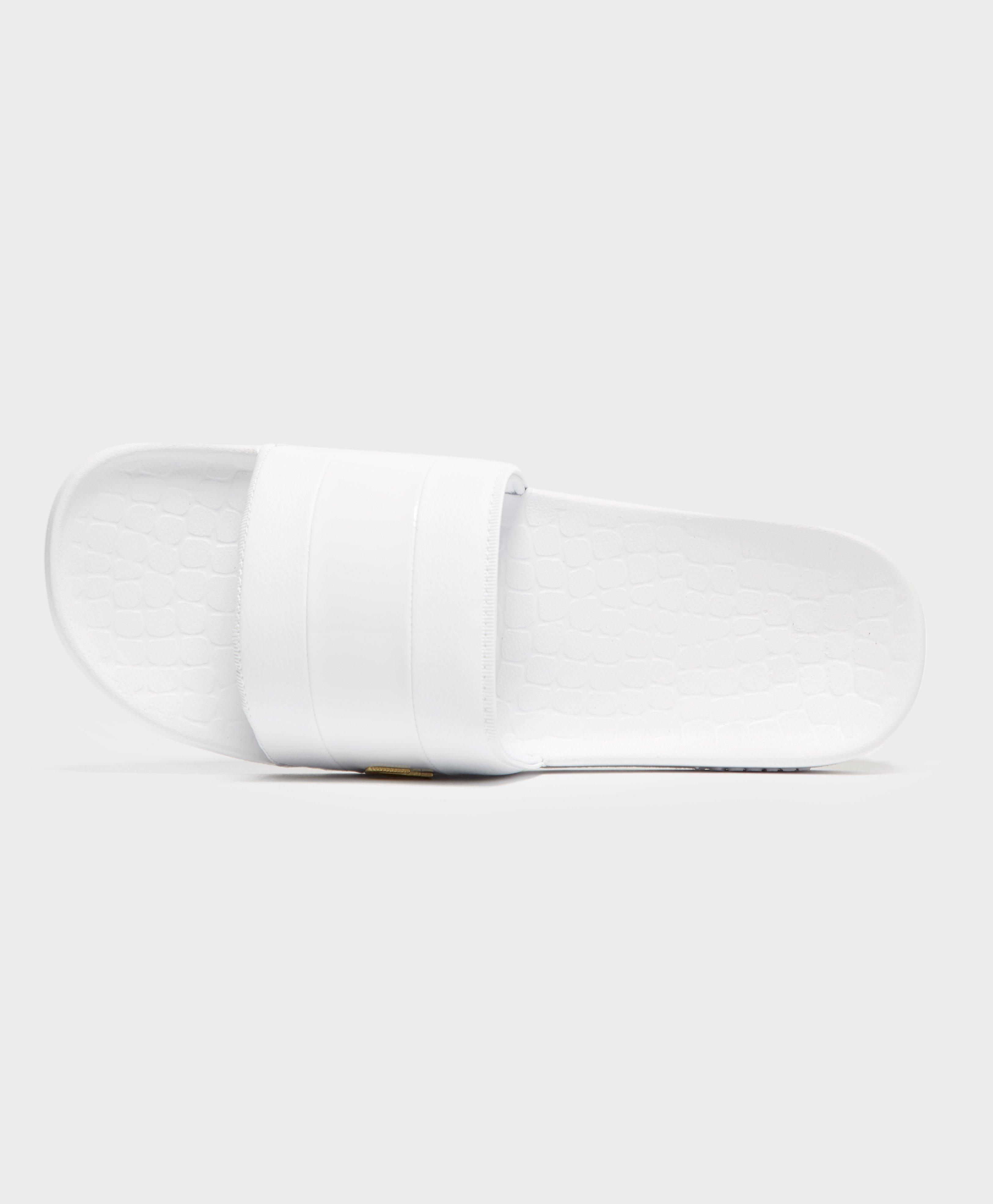 lacoste frasier deluxe