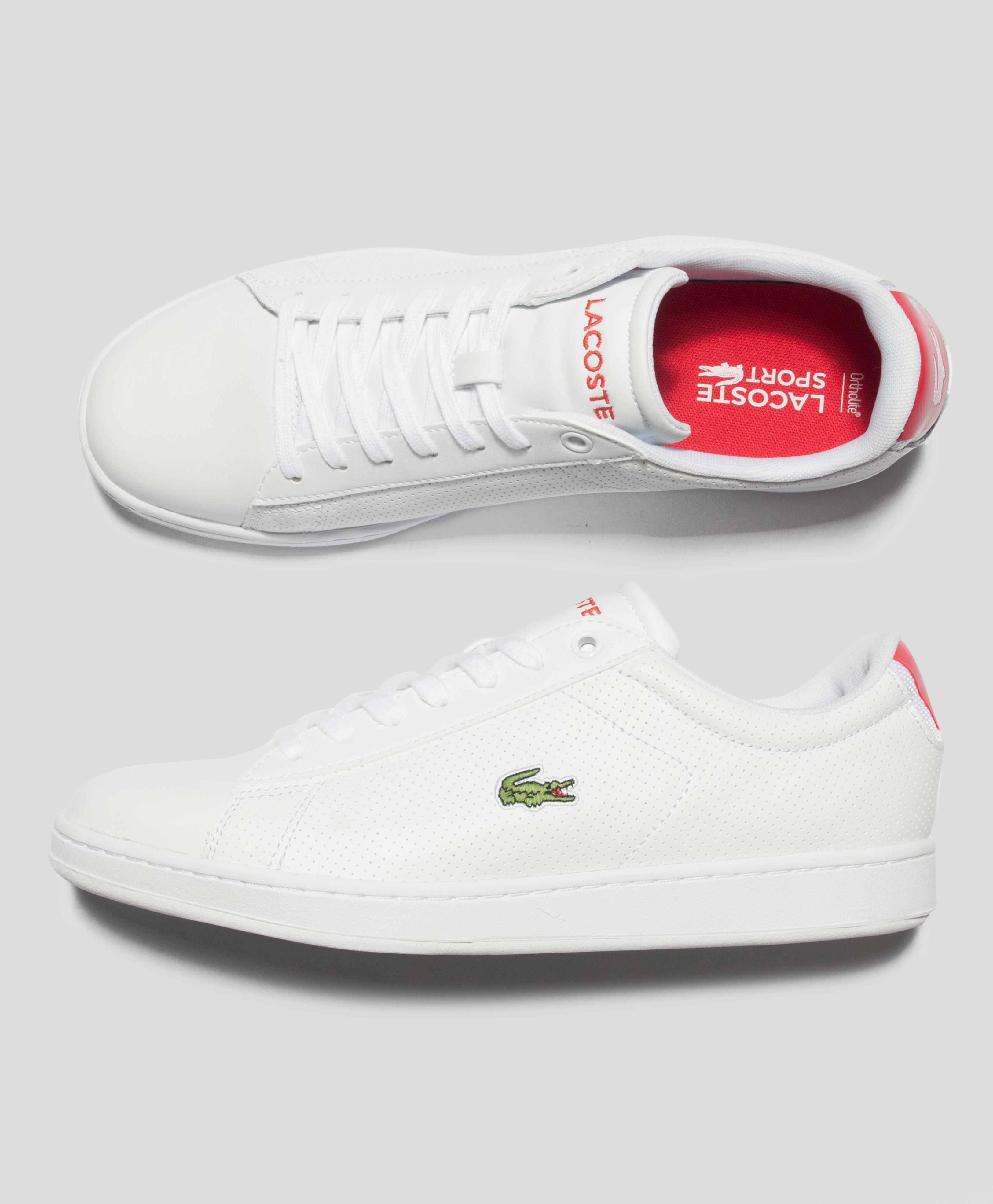 lacoste carnaby evo nte