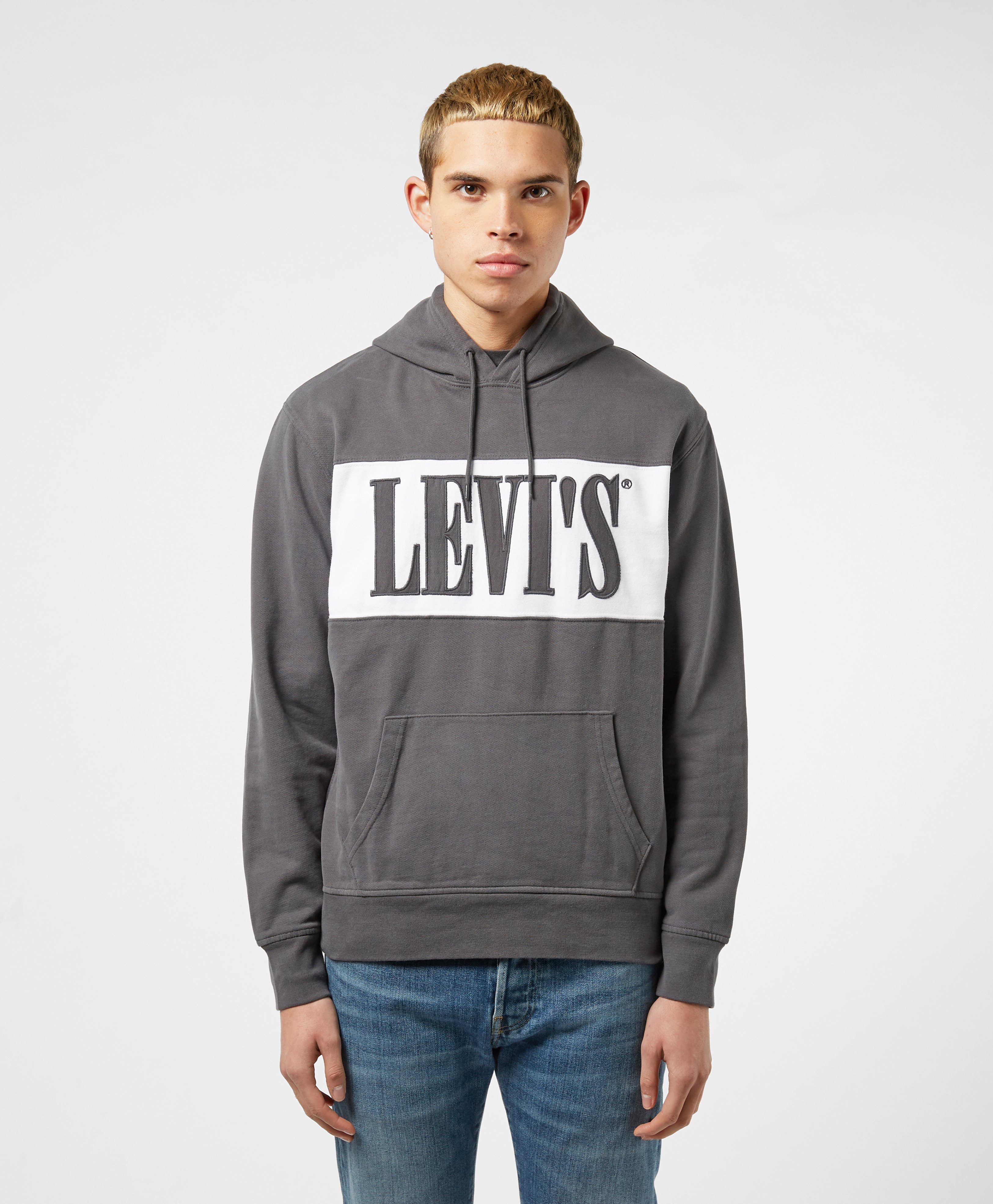 Levis Serif Colour Block Hoodie | scotts Menswear