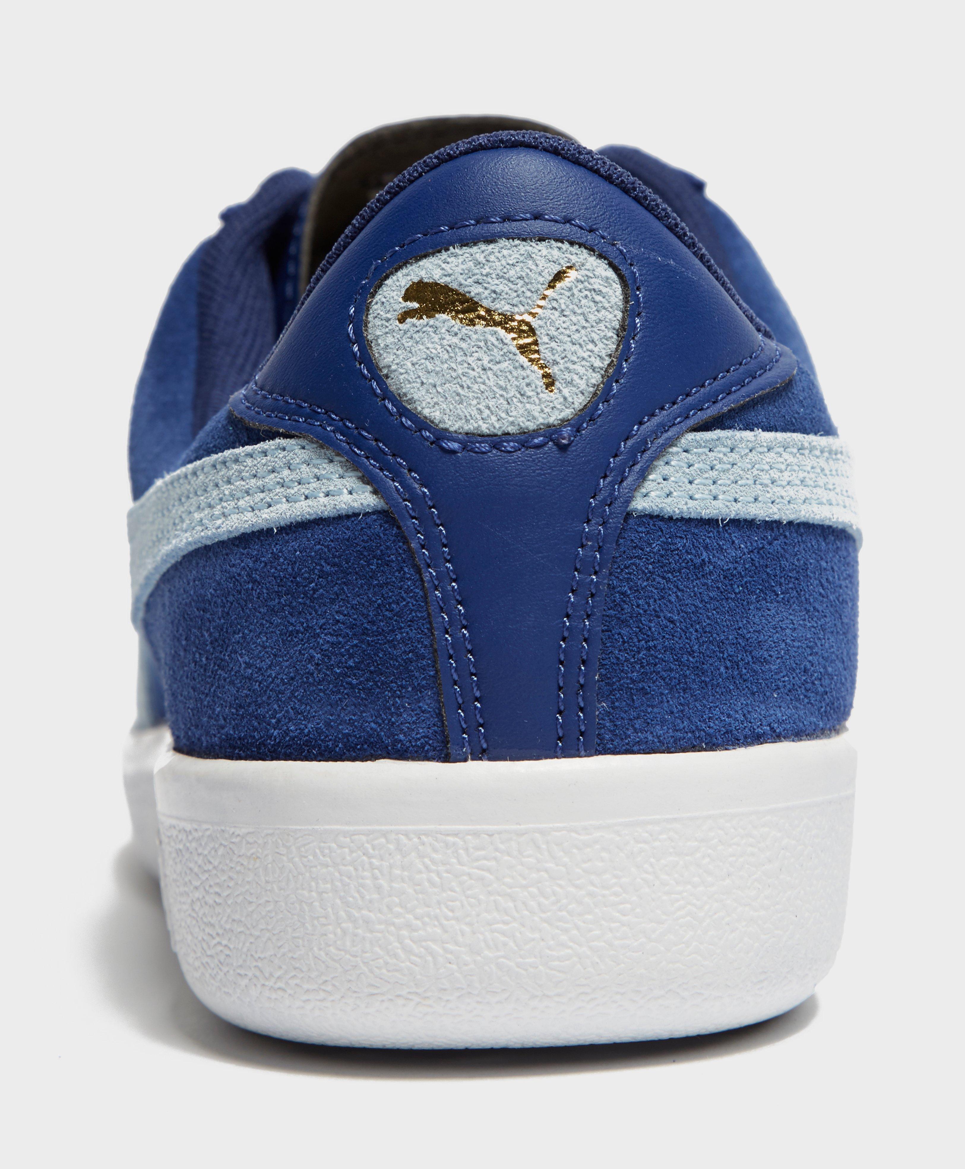 puma bluebird