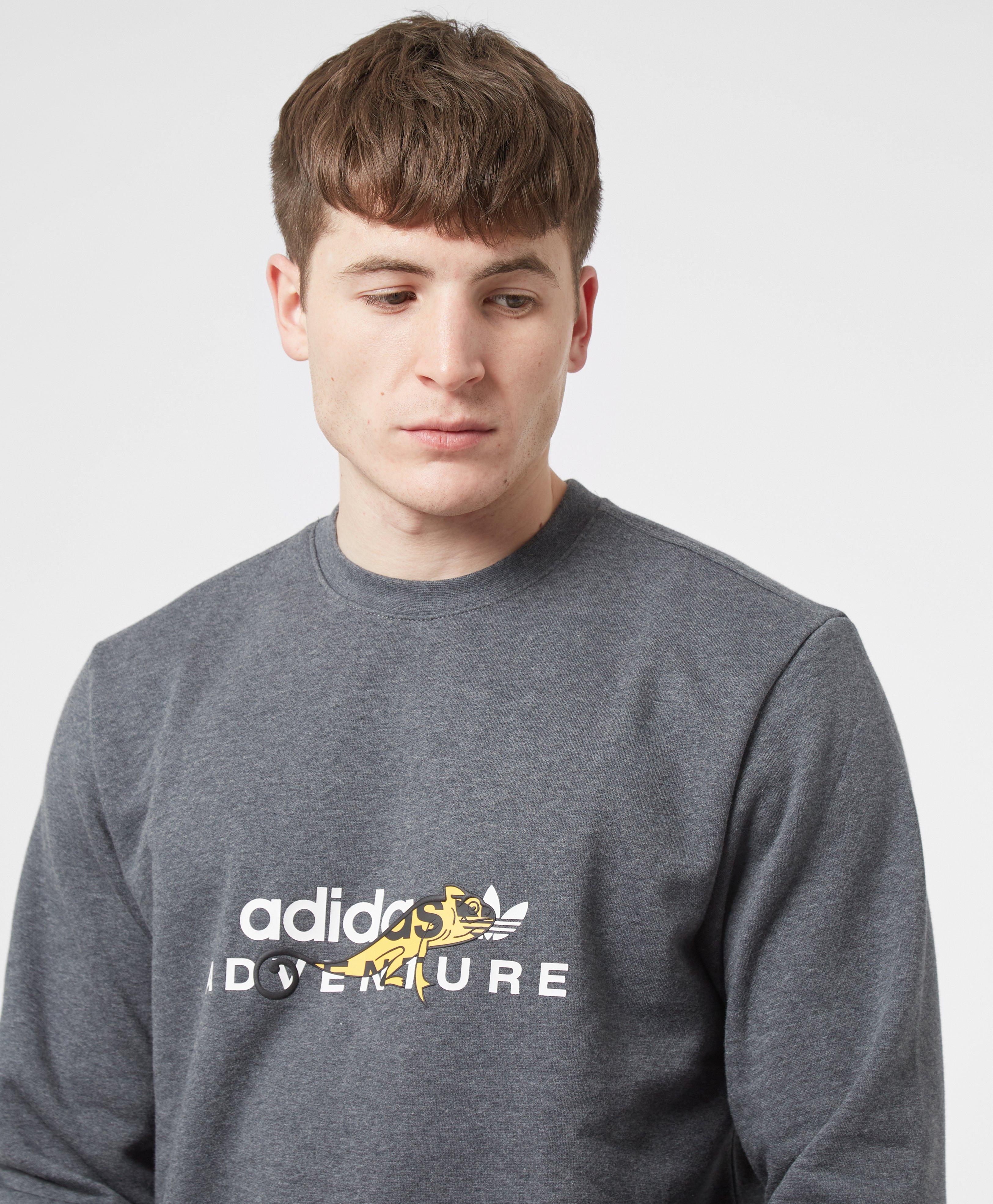 adidas chameleon sweatshirt