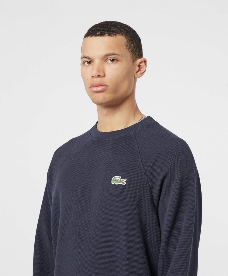 the intelligent choice hoodie