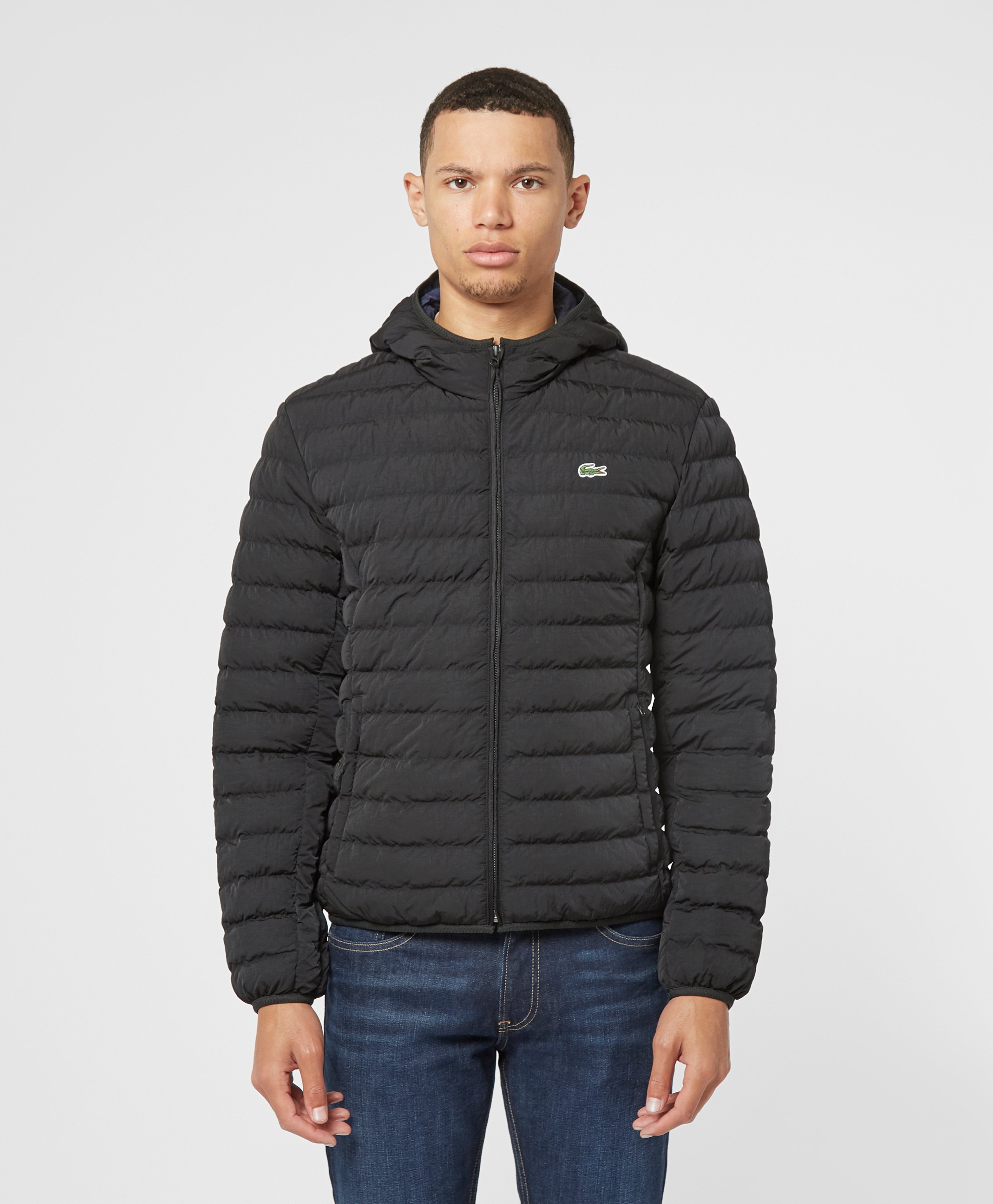 lacoste long padded jacket