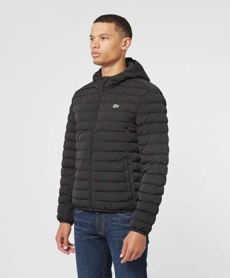 lacoste long padded jacket