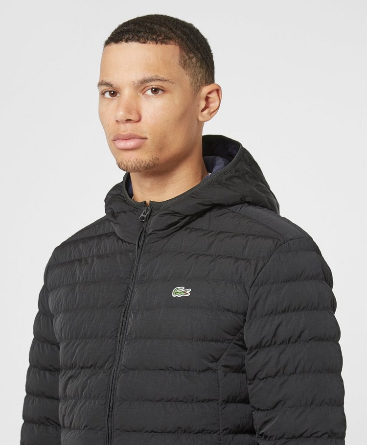 lacoste long padded jacket