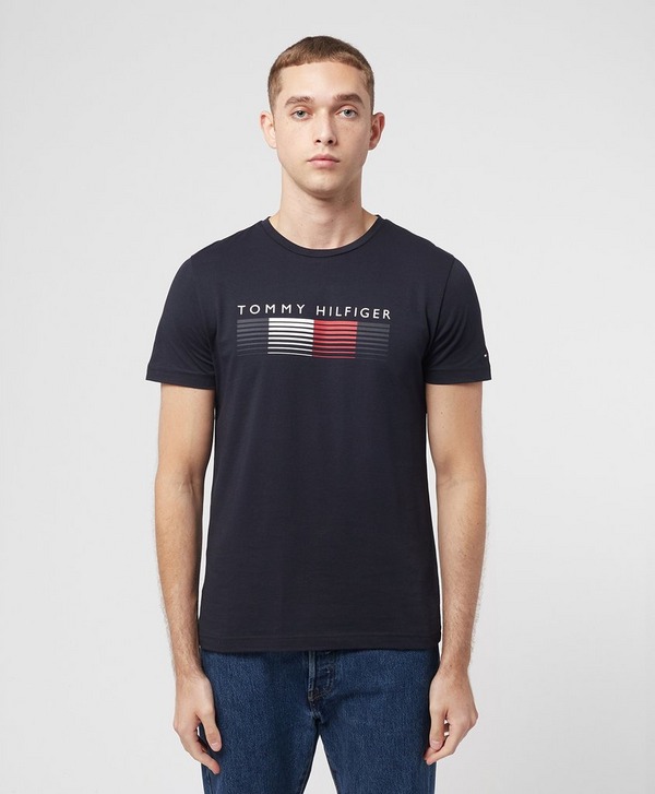 Blue Tommy Hilfiger T-Shirt | scotts Menswear