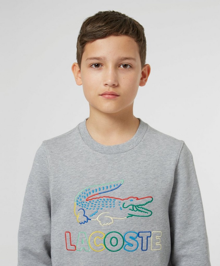 Lacoste Colour Sweatshirt