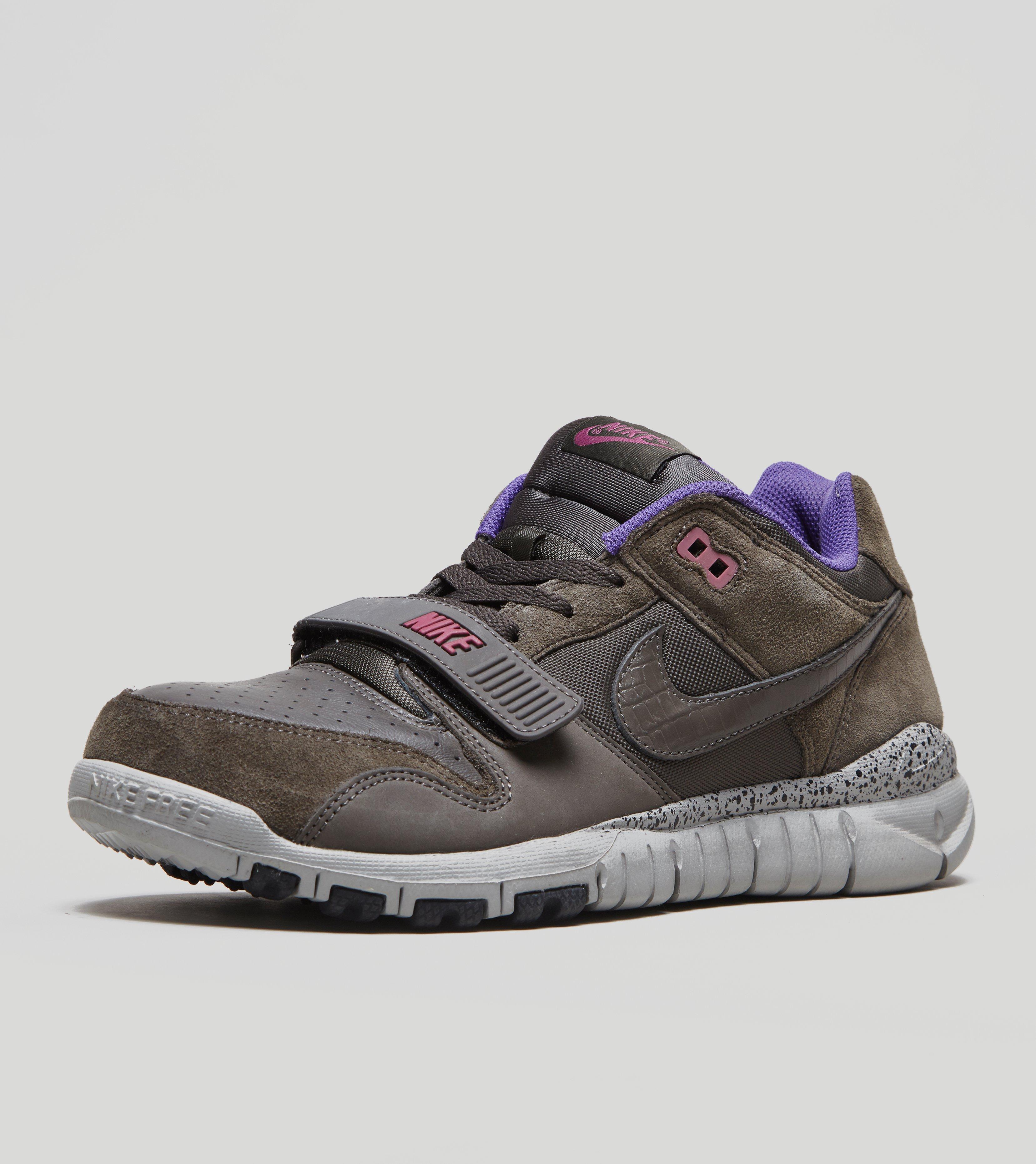 nike trainer dunk low
