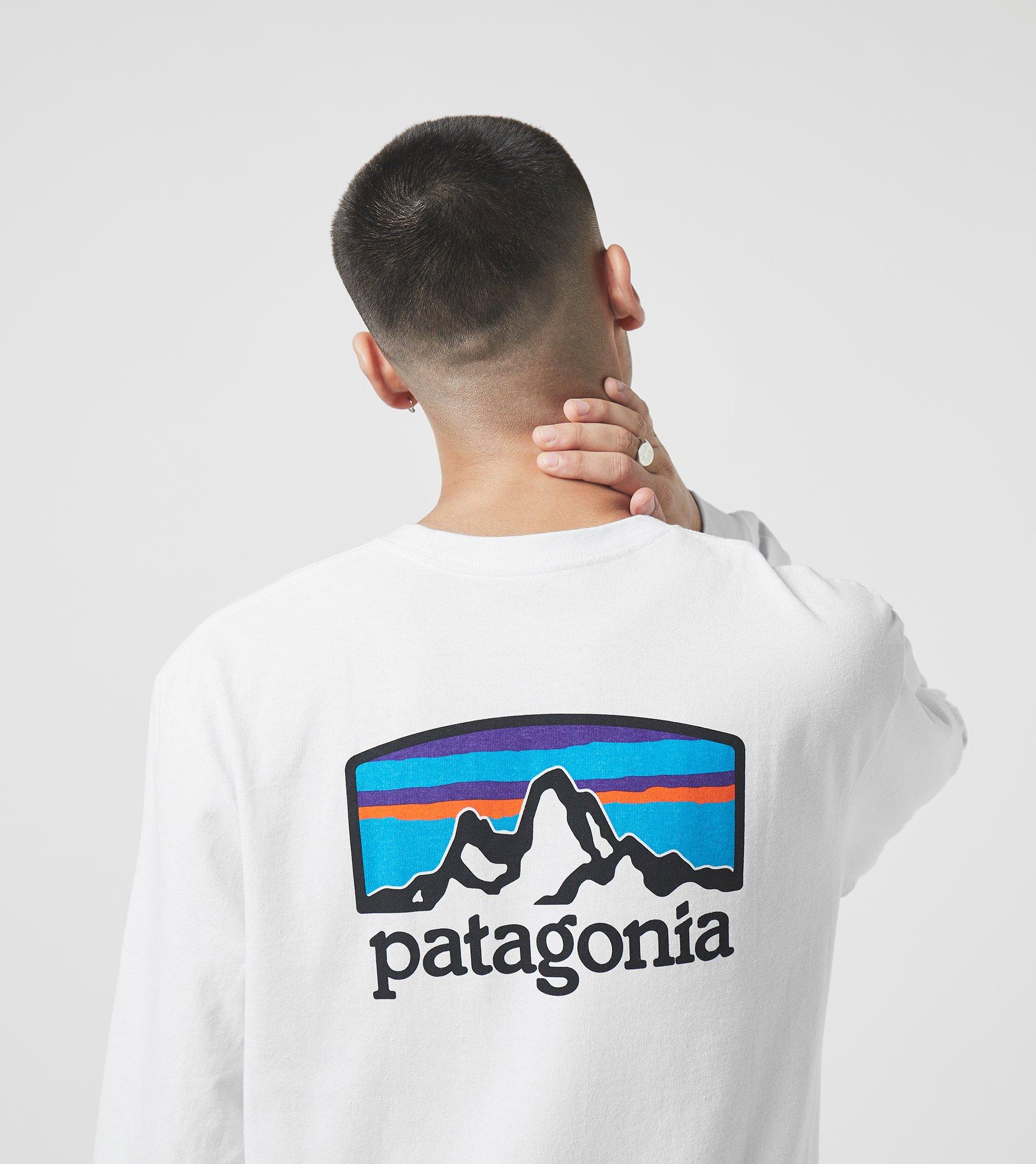 patagonia fitz roy van t shirt