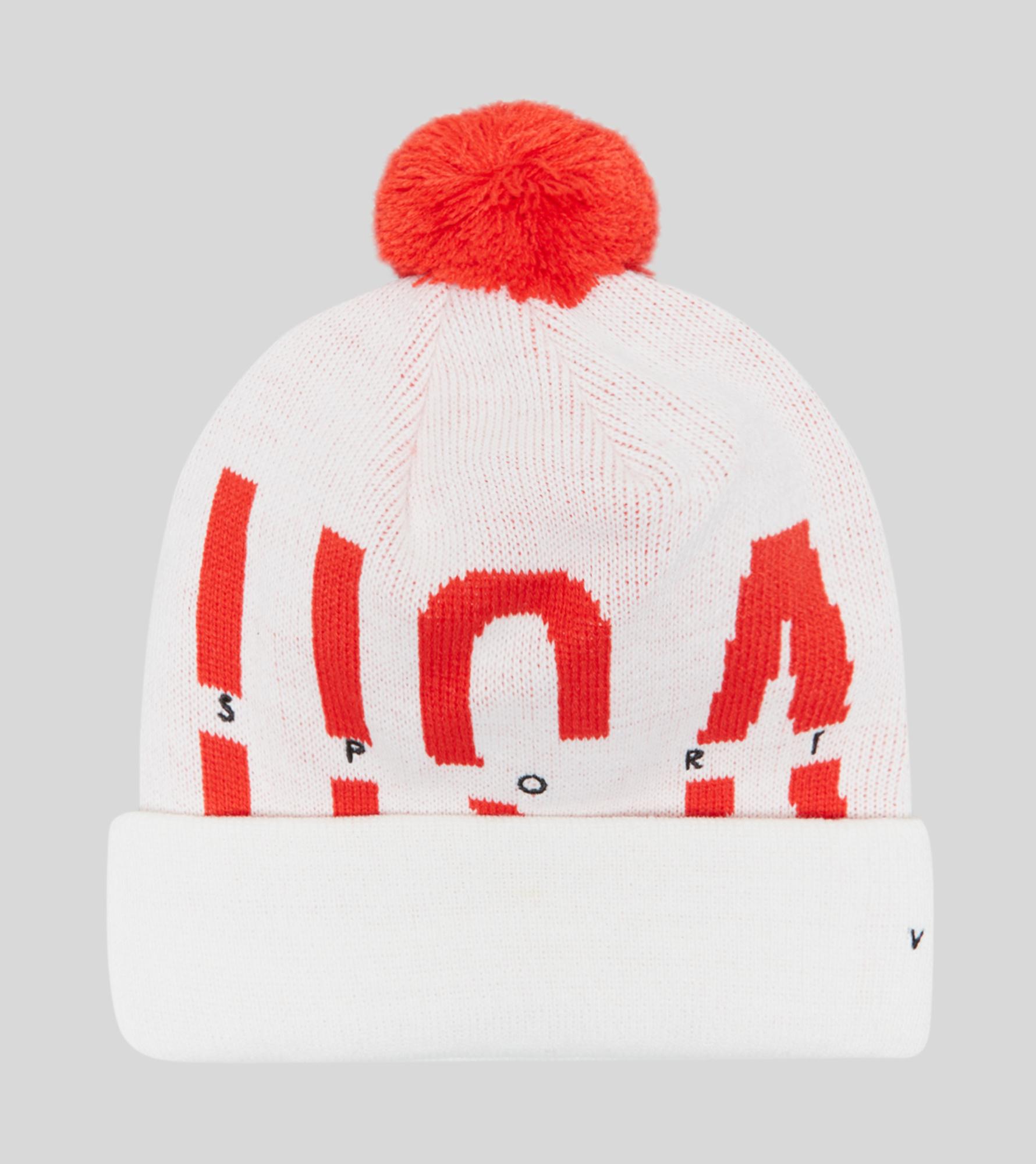 usa bobble hat