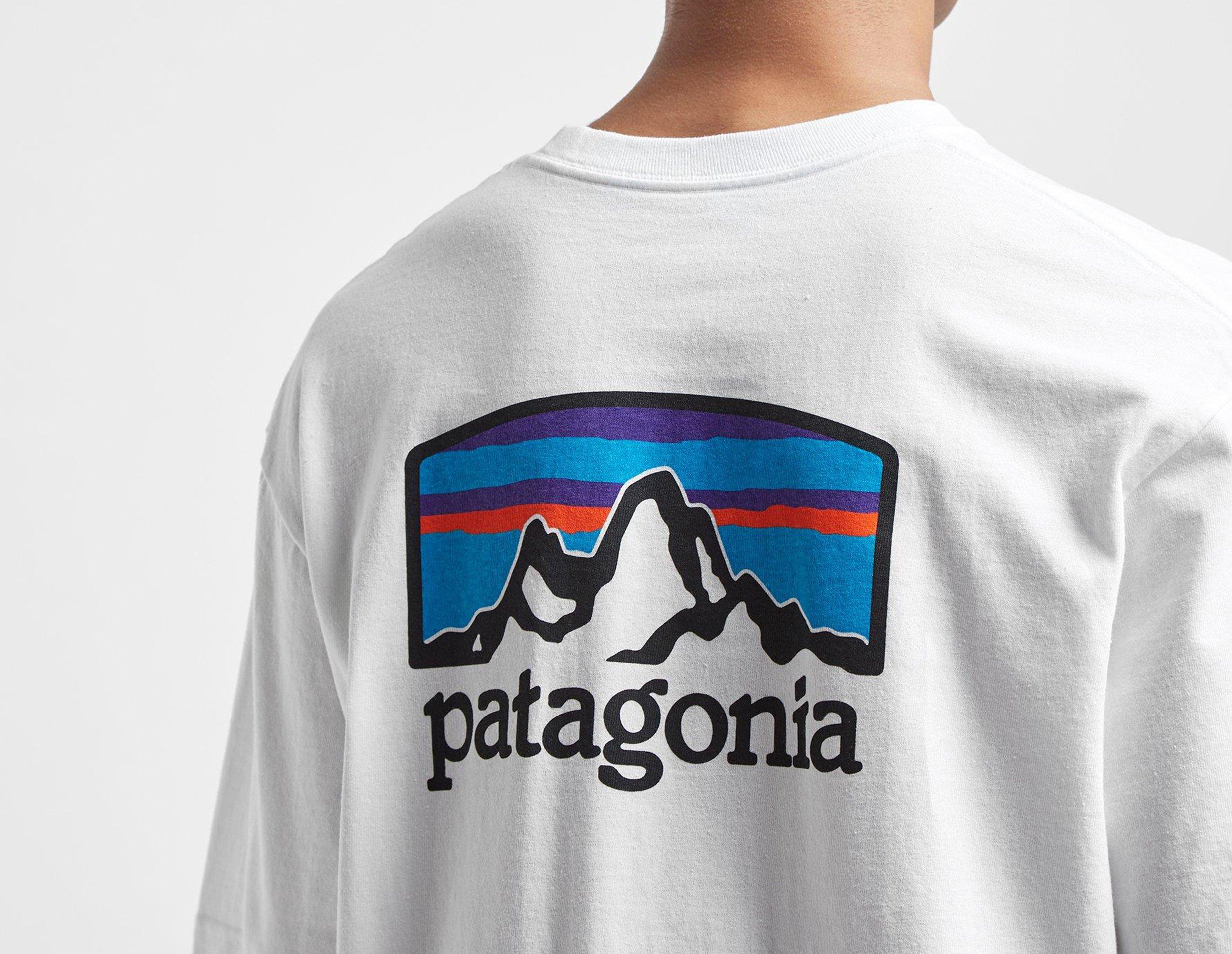 patagonia fitz roy tee