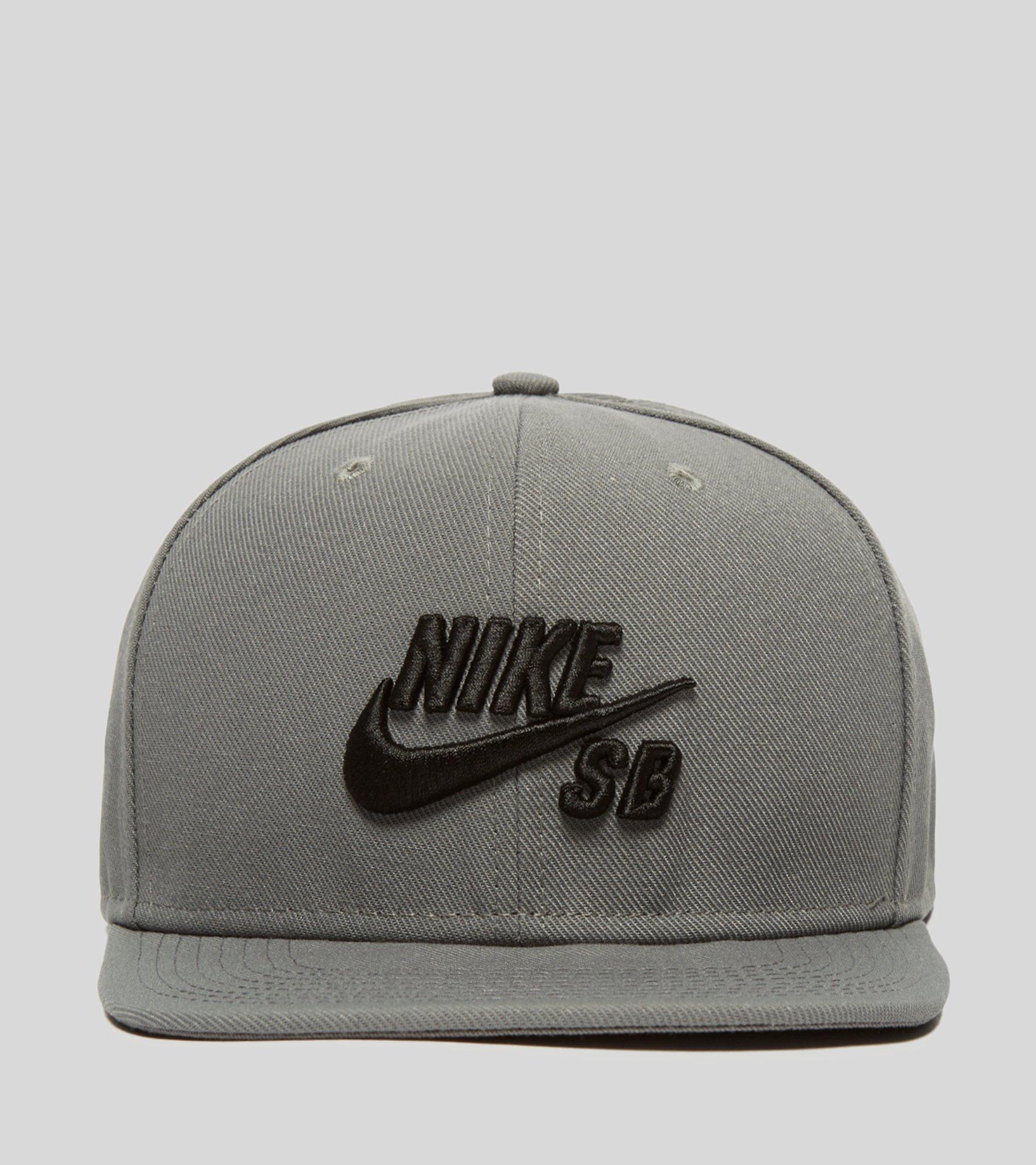 nike sb net cap