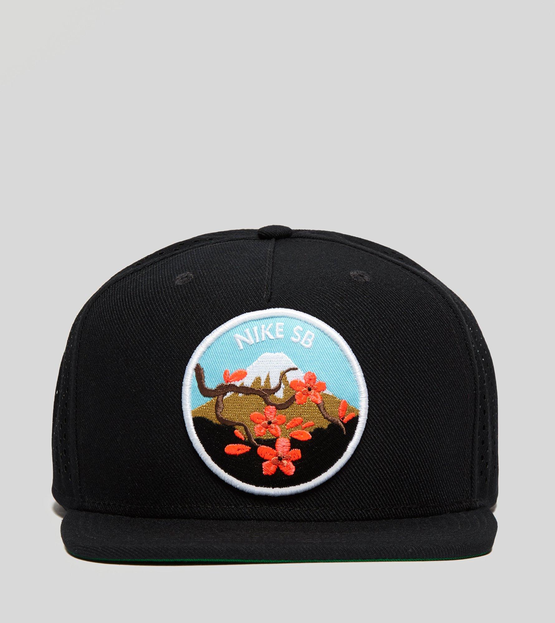 nike sb cherry blossom hat