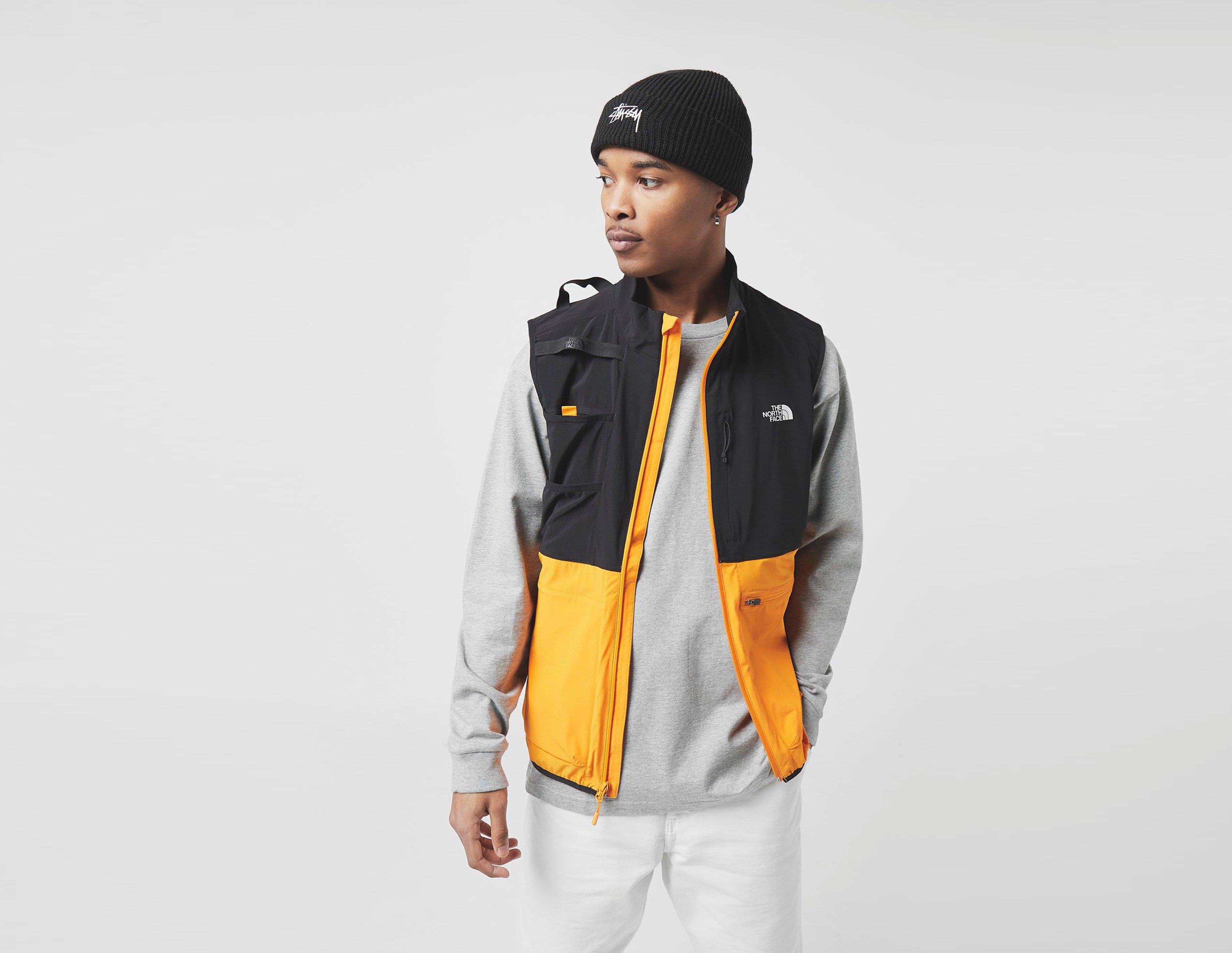 the north face vest