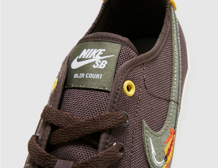 Nike SB BLZR Court DVDL