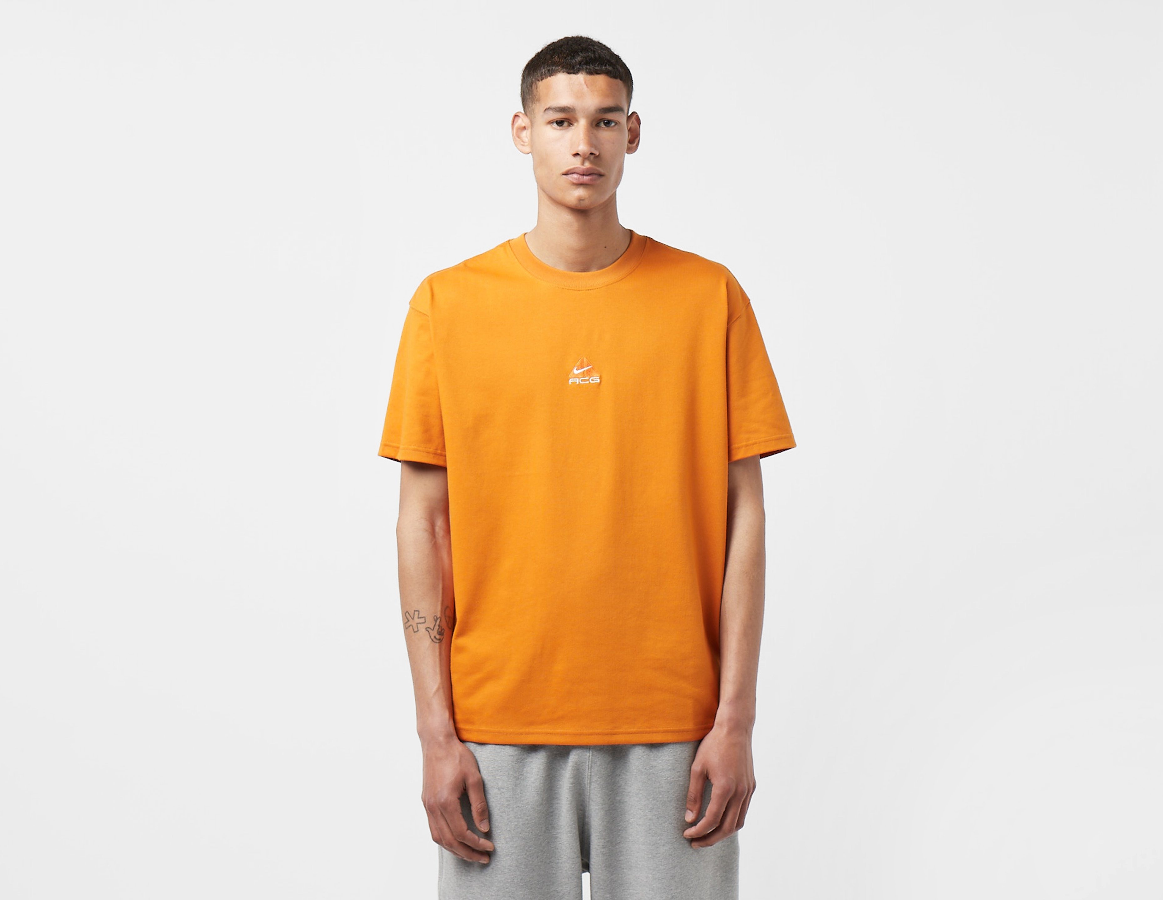 Brown Nike ACG Lungs T-Shirt | size?