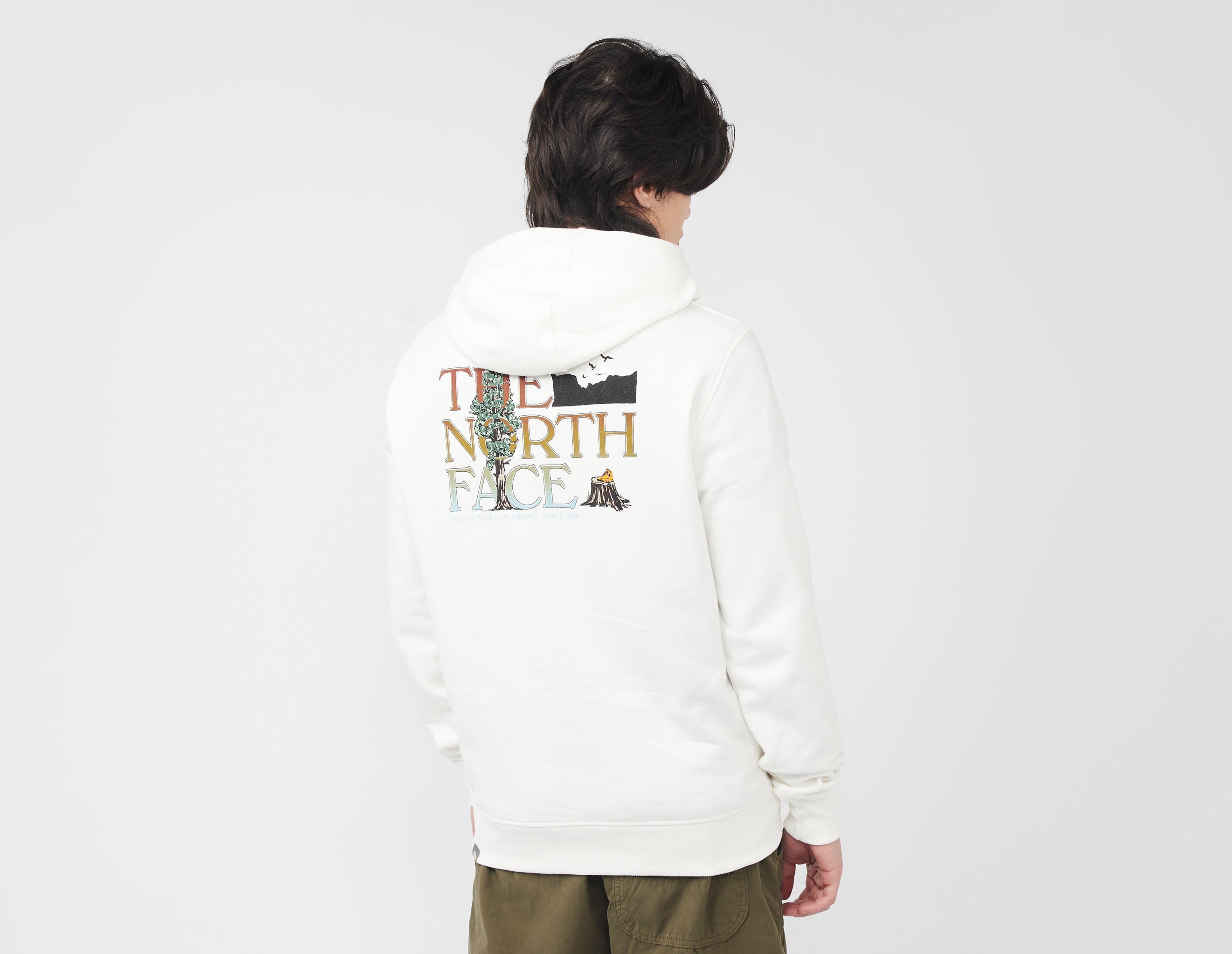 The north store face graphic hoodie