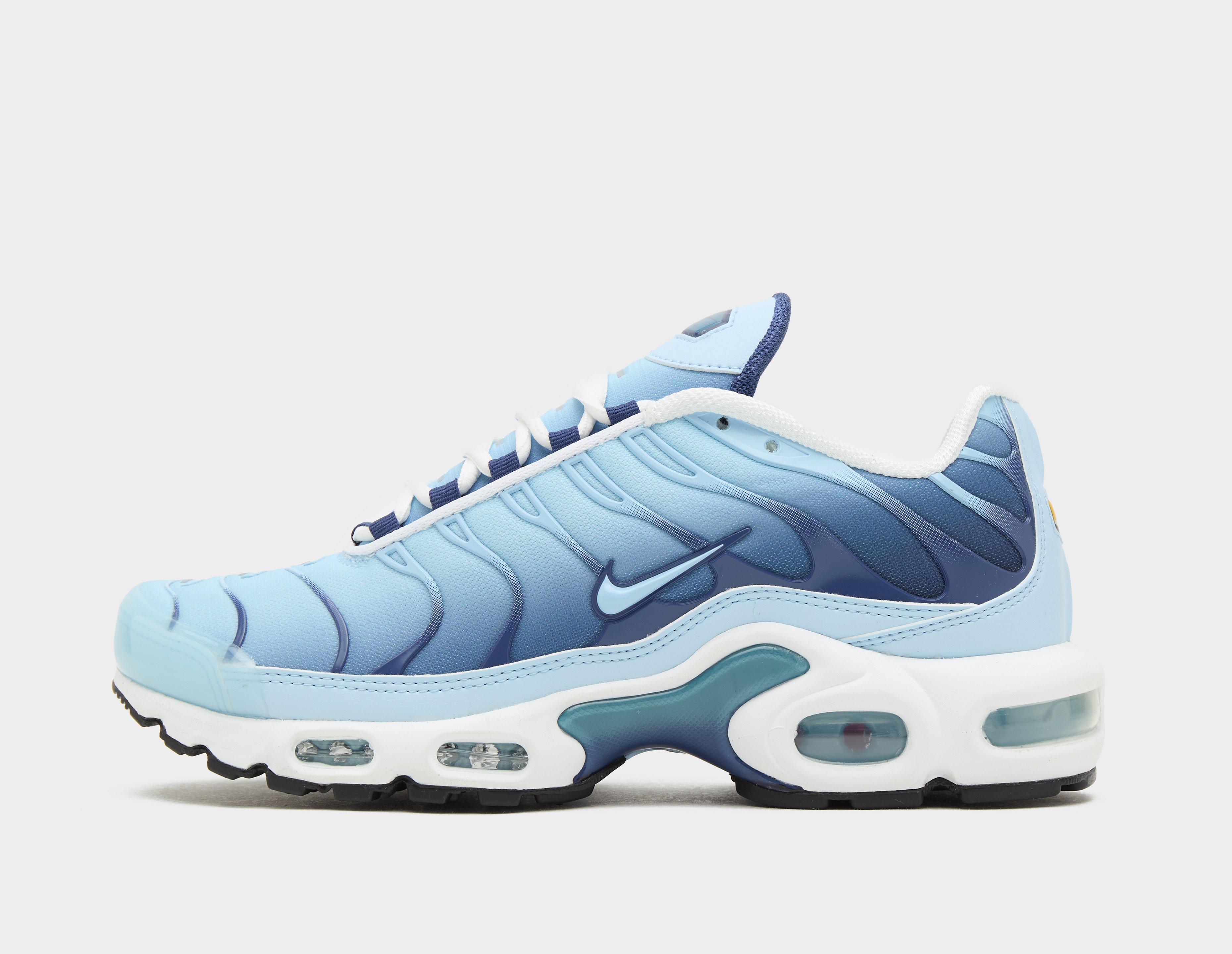 Nike air sales max 2001 Blue