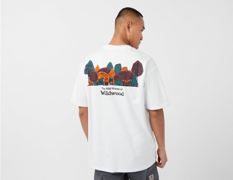 Nike ACG 'Wildwood' T-Shirt