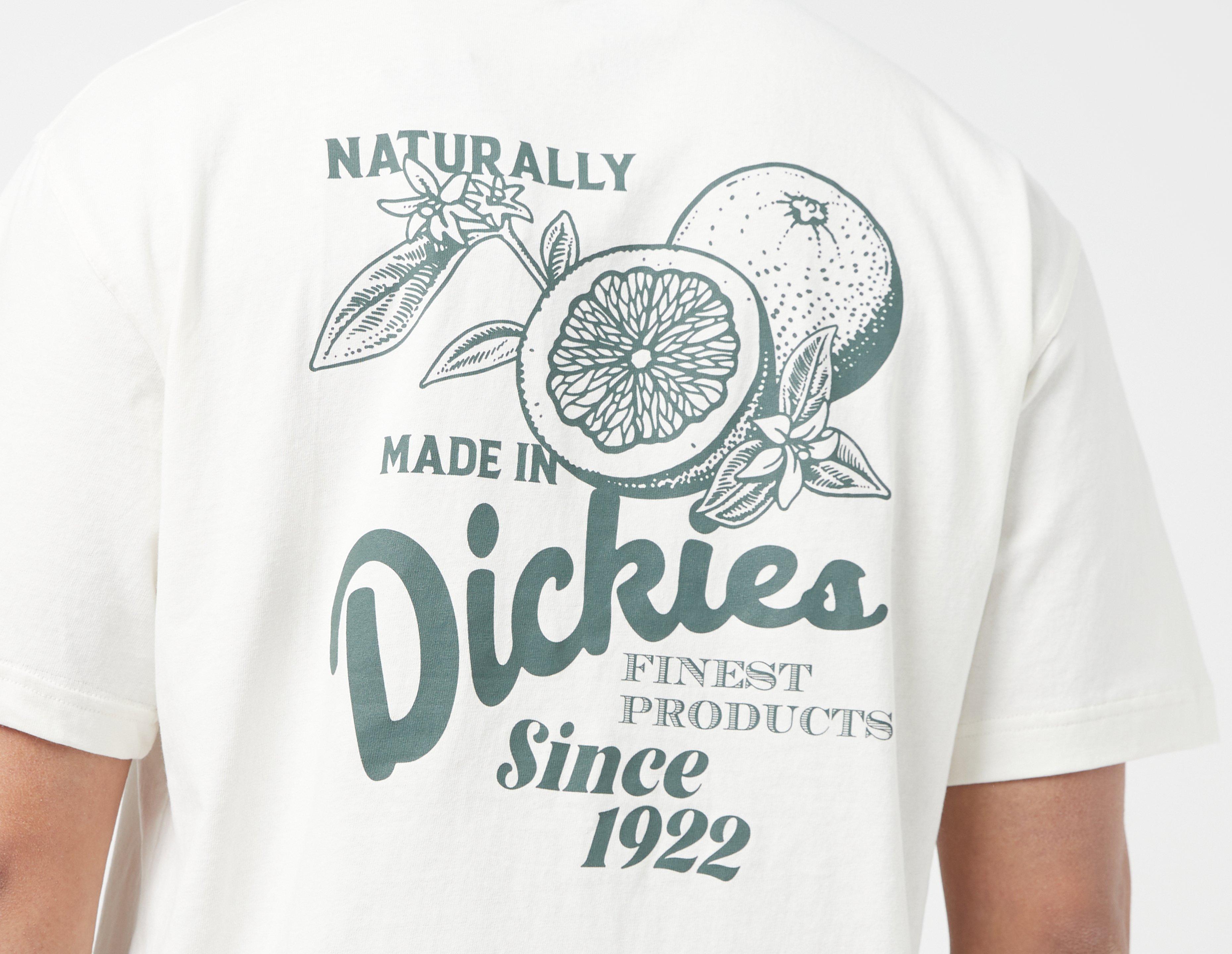 Dickies Raven T-Shirt