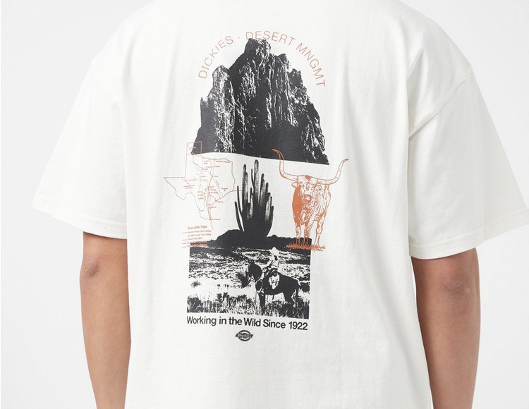 Dickies T-Shirt Pearisburg