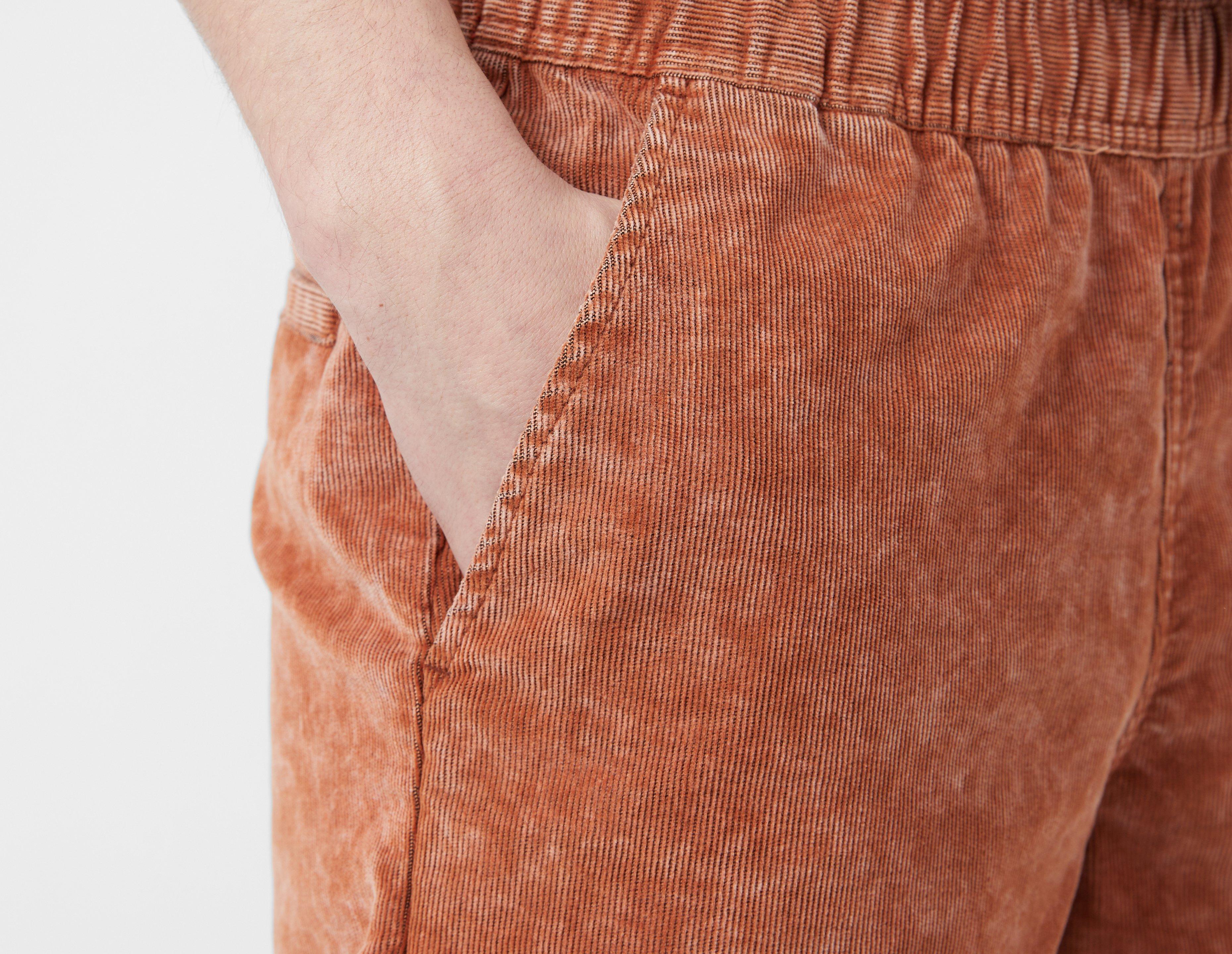 Dickies Chase City Shorts