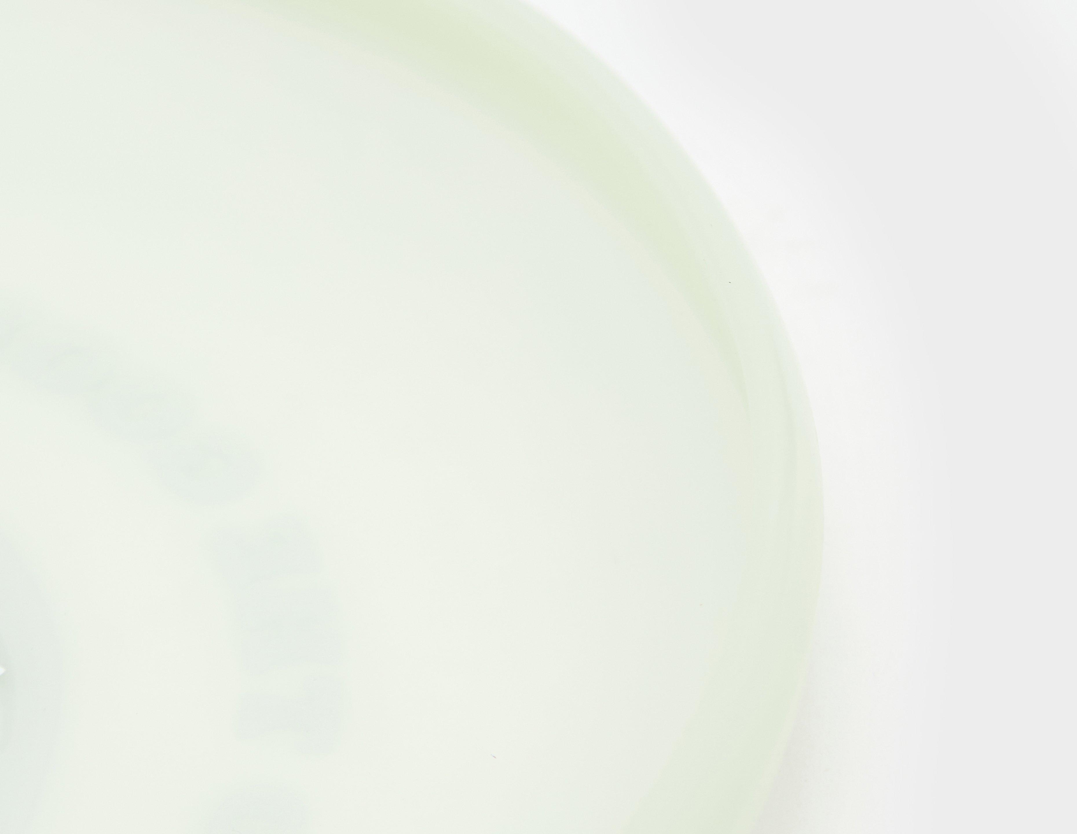 Carhartt WIP Mist Frisbee