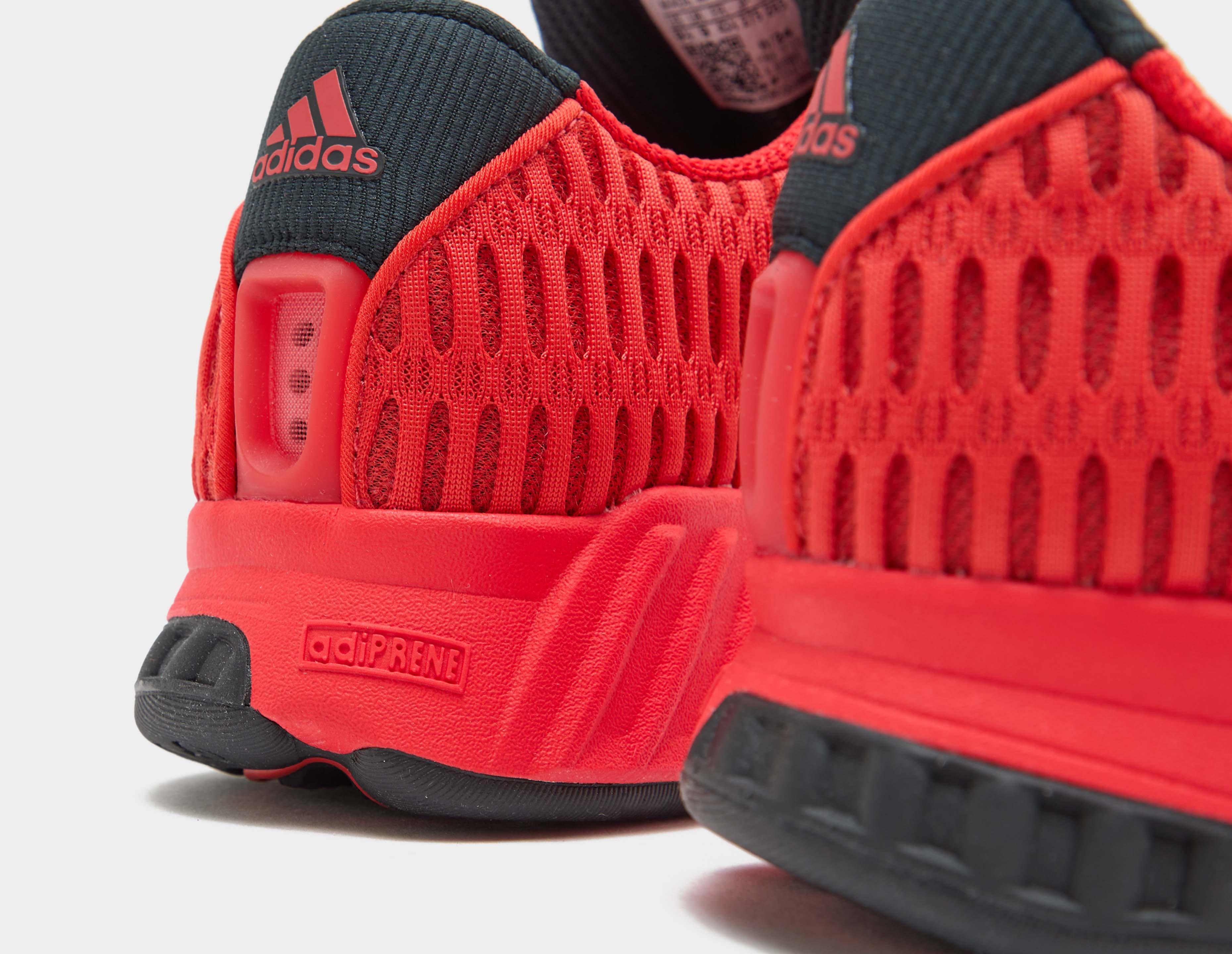 adidas Originals Climacool 1