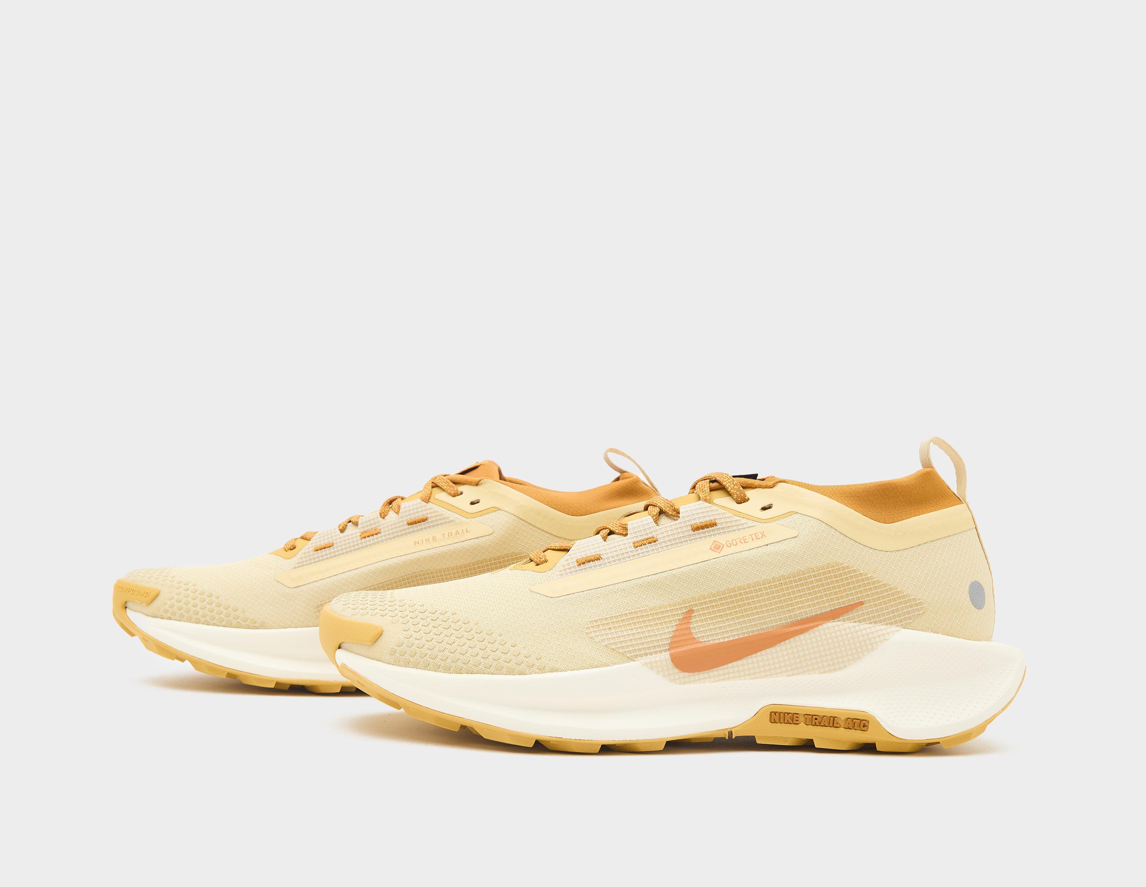 Nike Pegasus trail 5 GORE-TEX