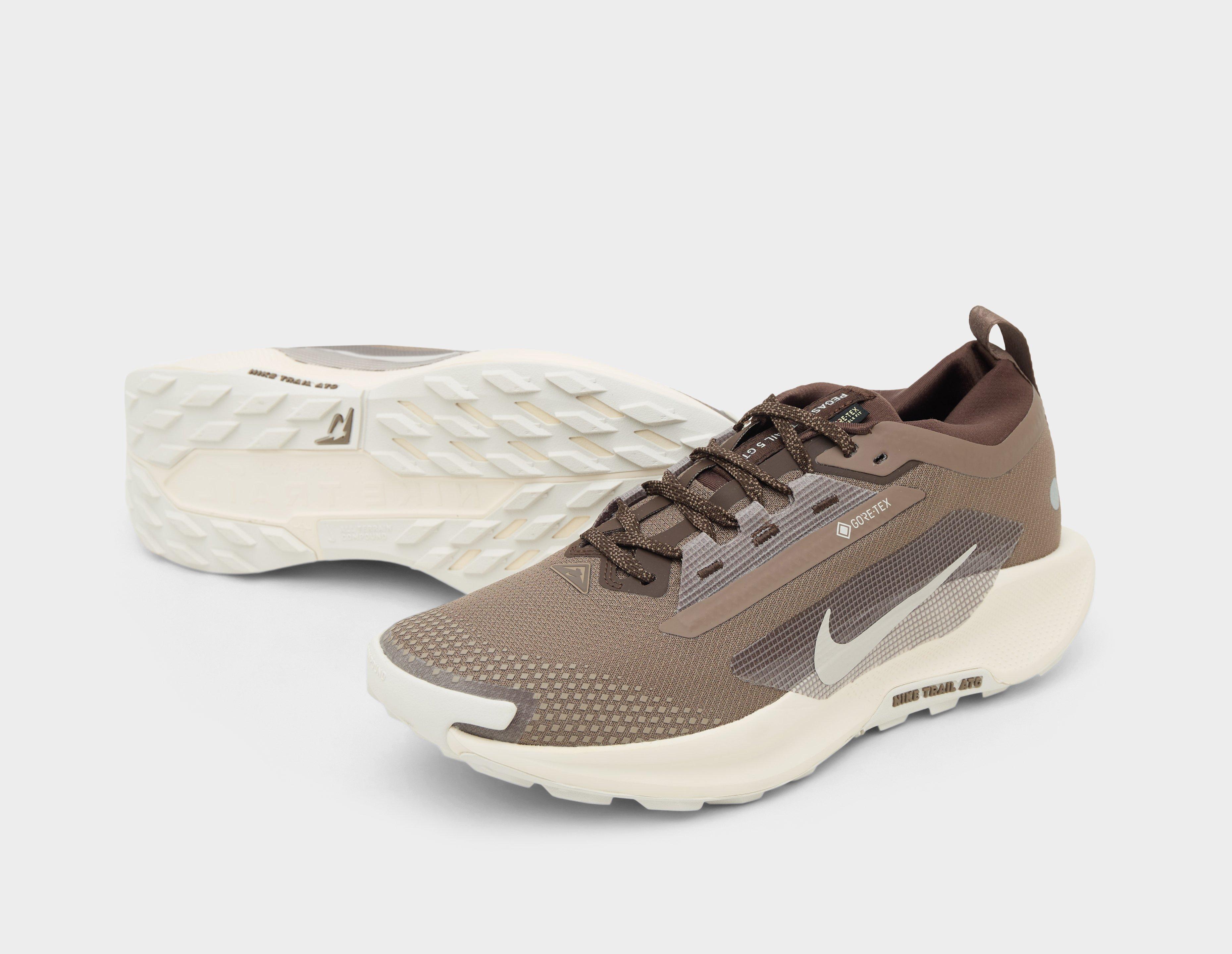 Nike Pegasus trail 5 GORE-TEX
