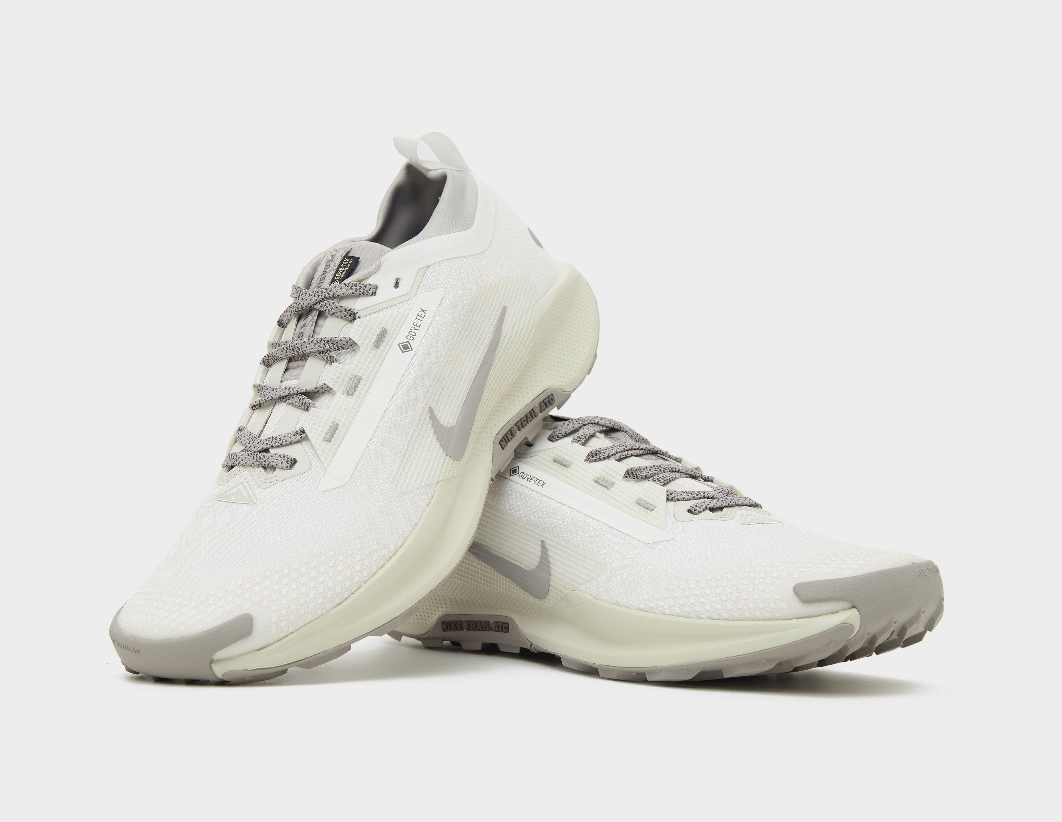 Nike Pegasus trail 5 GORE-TEX