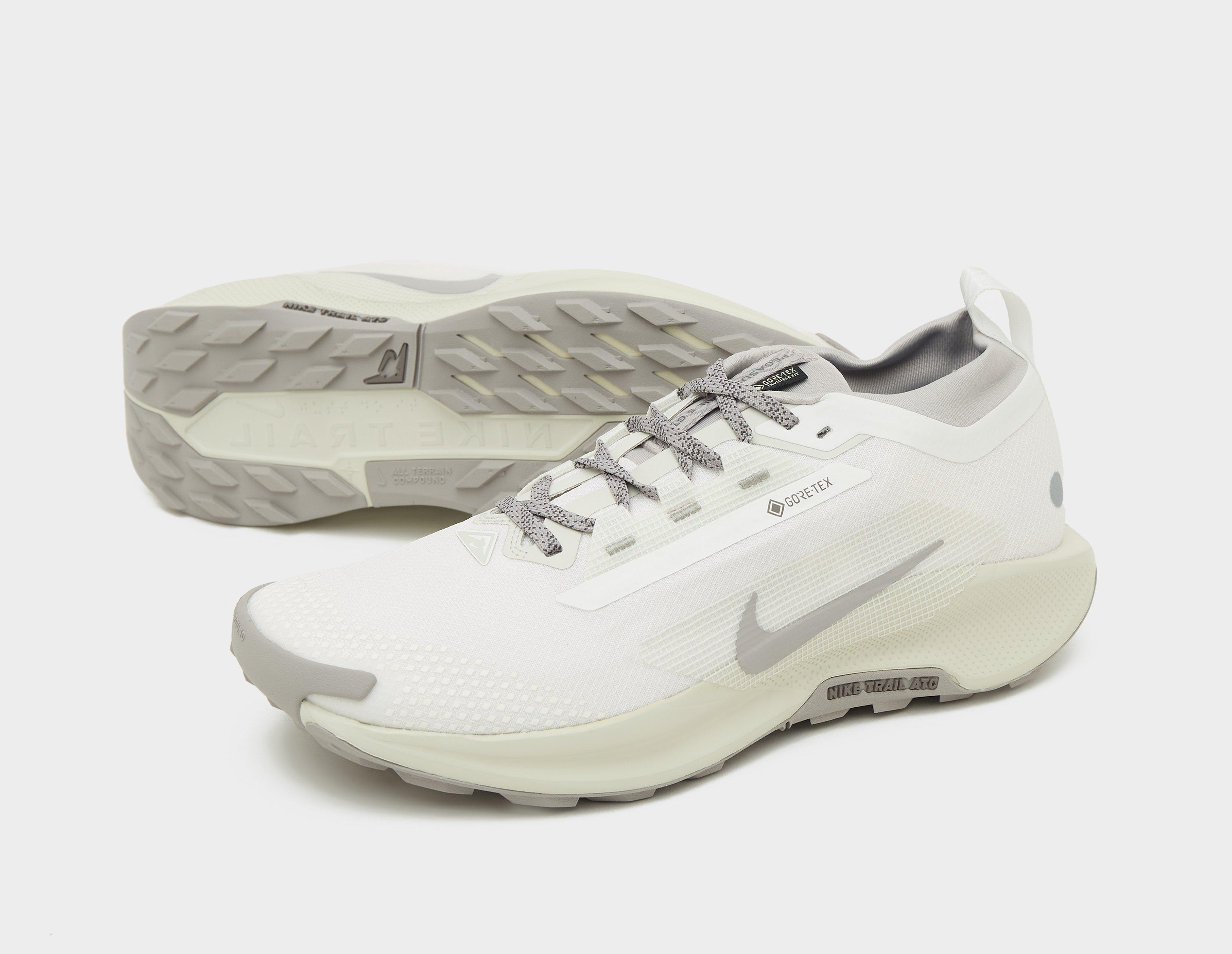 Nike Pegasus trail 5 GORE-TEX
