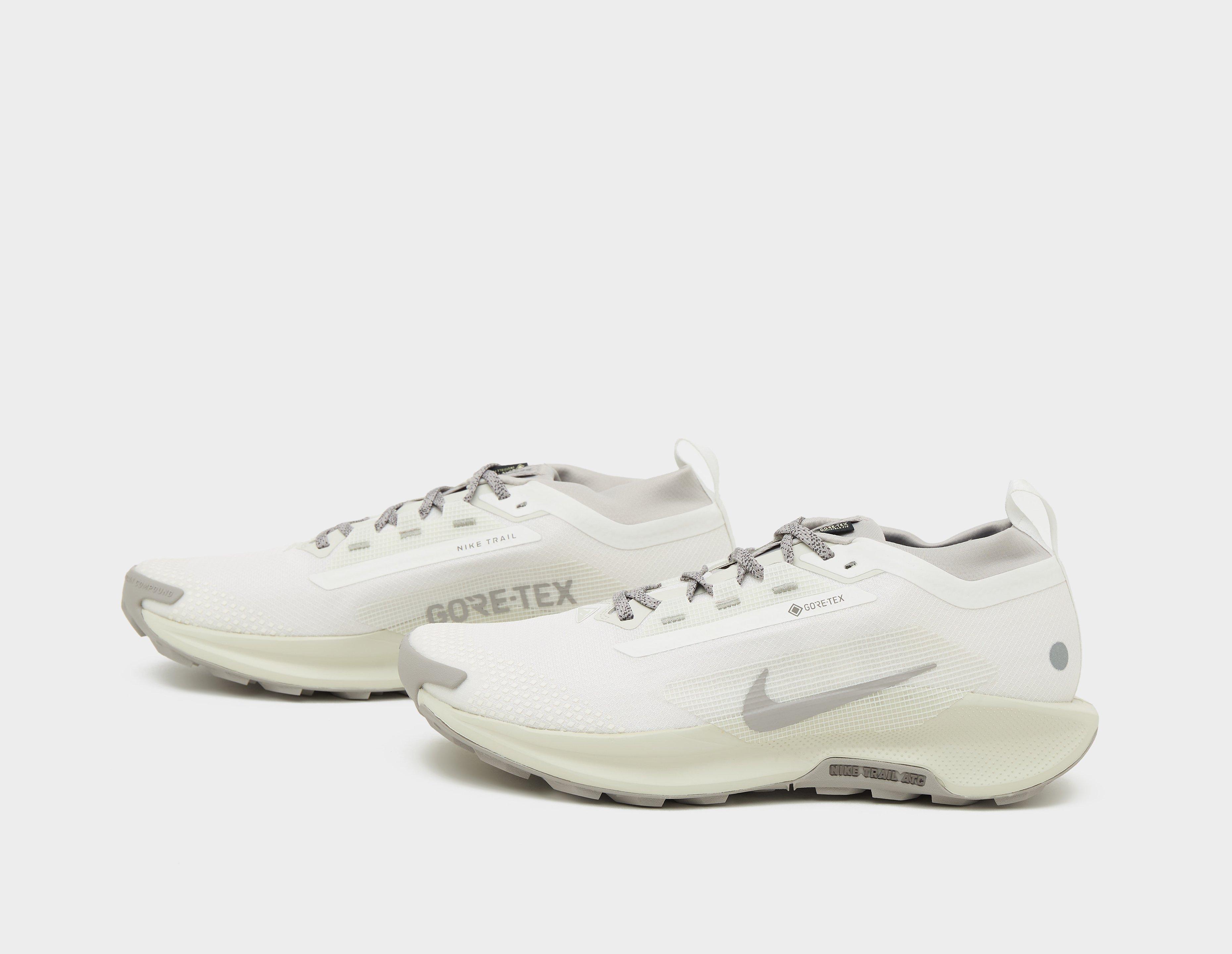 Nike Pegasus trail 5 GORE-TEX