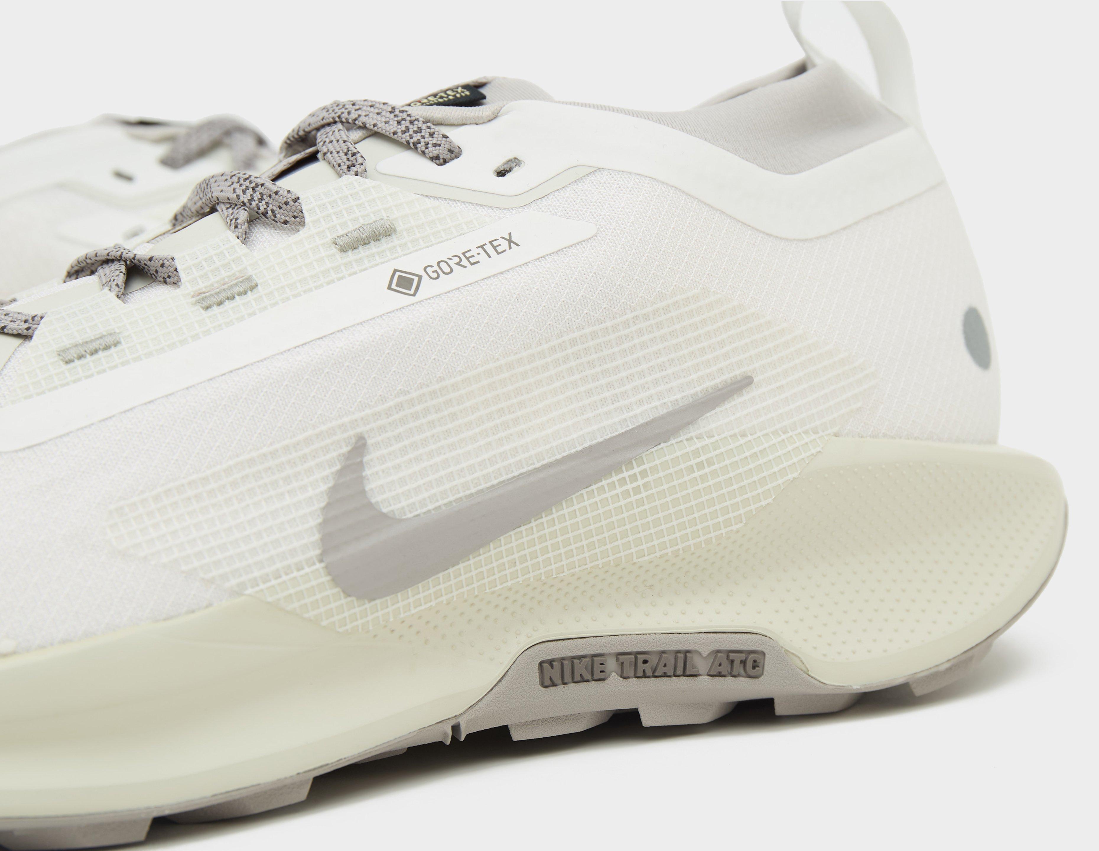 Nike Pegasus trail 5 GORE-TEX