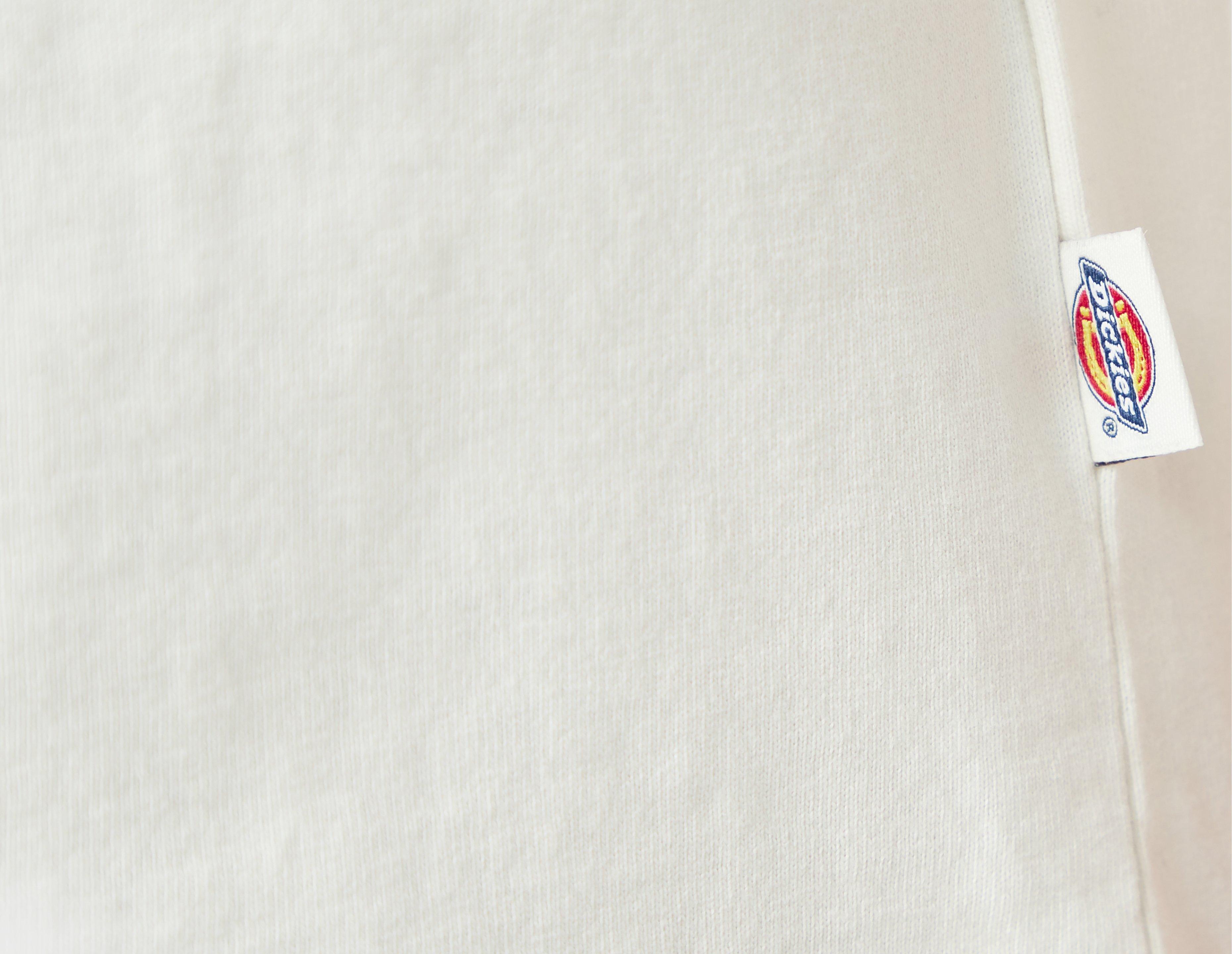 Dickies Fairlawn T-Shirt