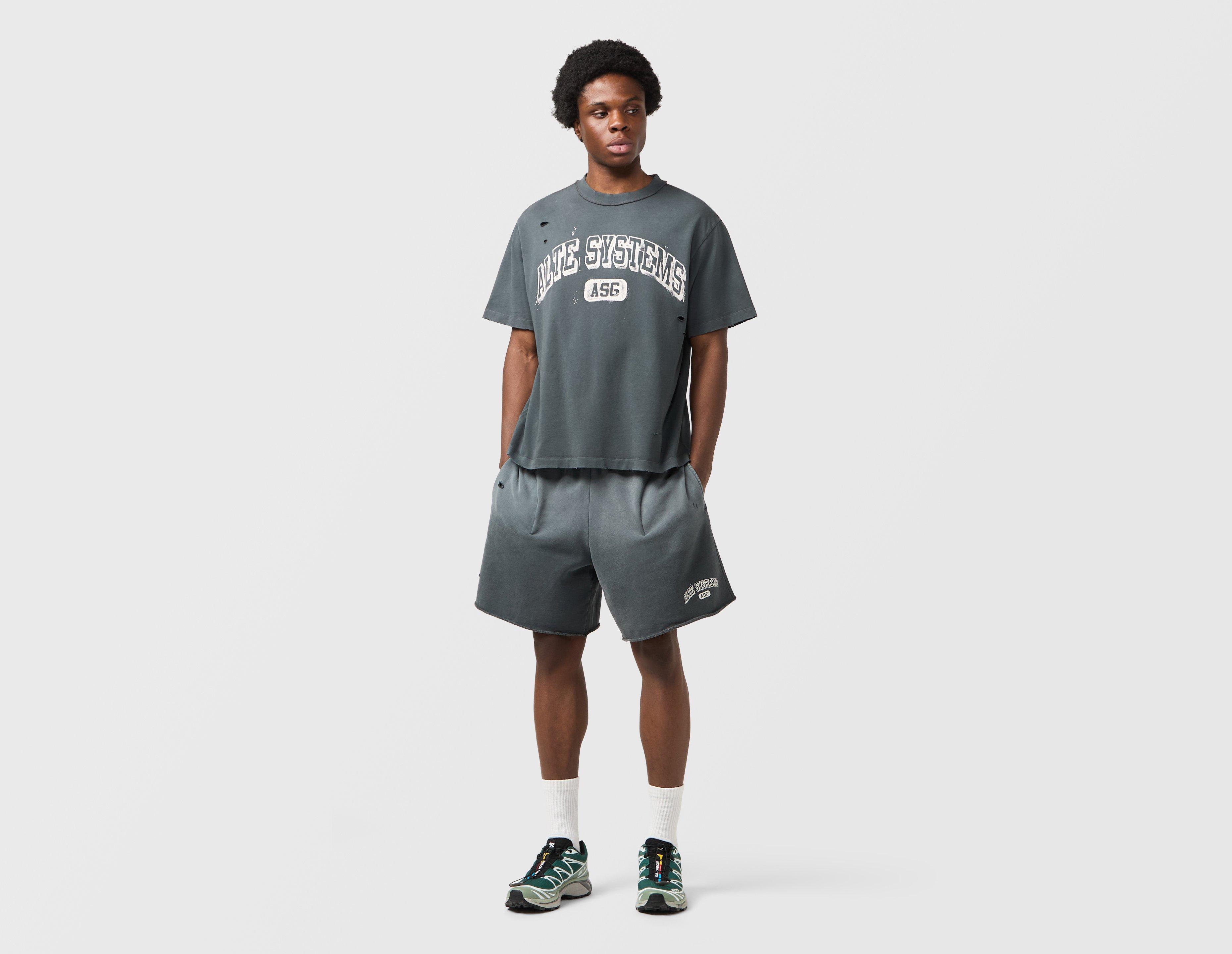 Alte Systems Analog Shorts