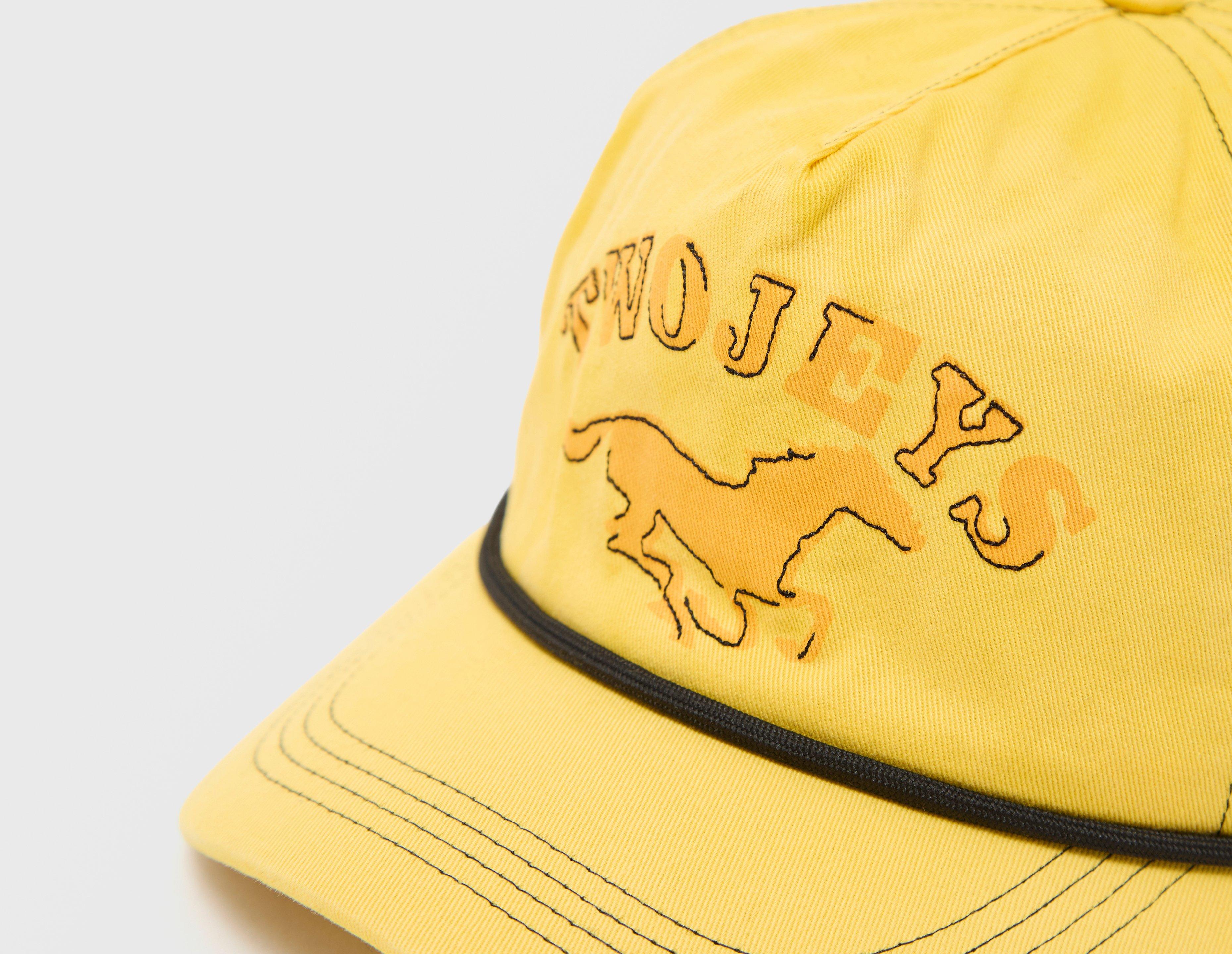 Twojeys Sunfaded Cap