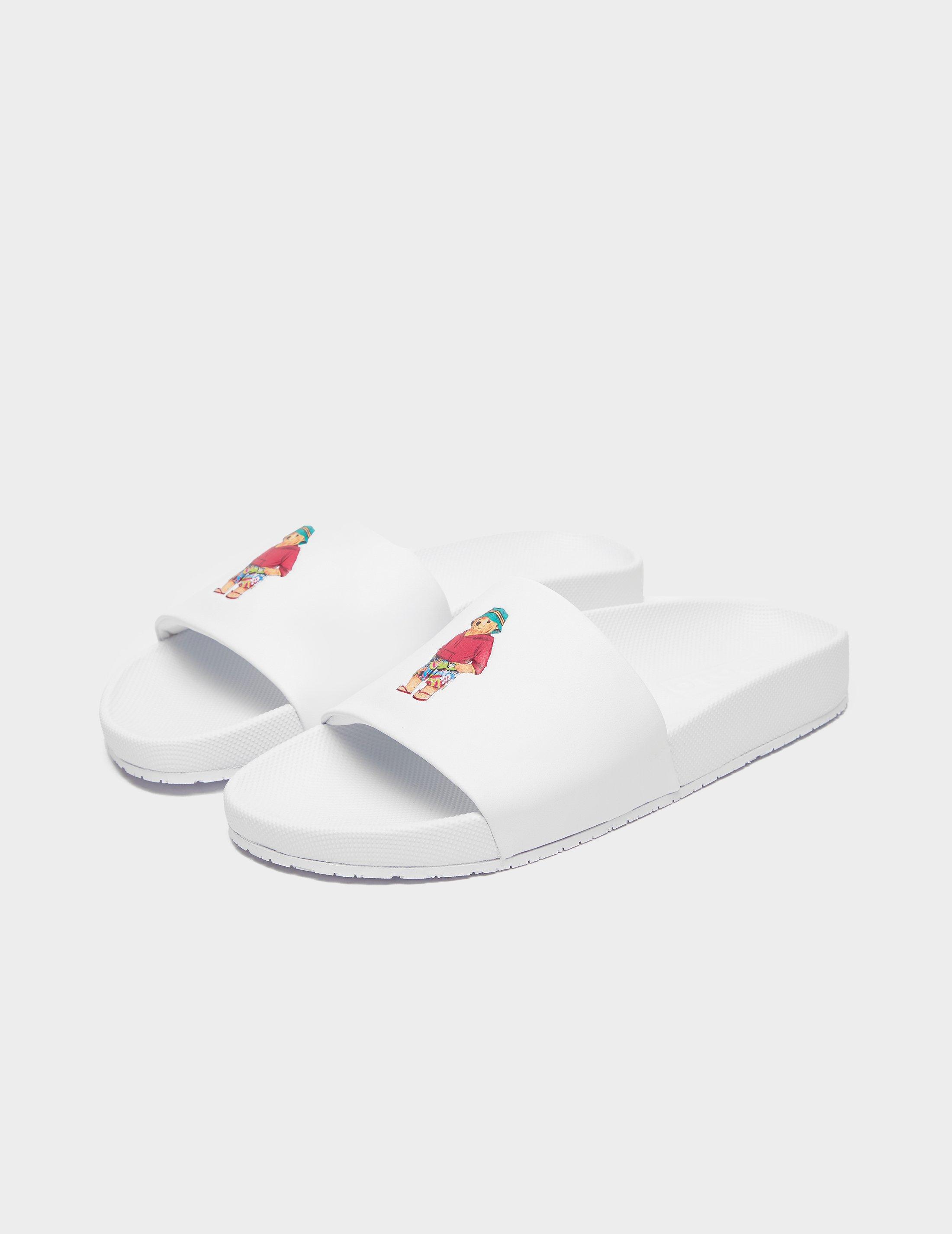 polo bear slides
