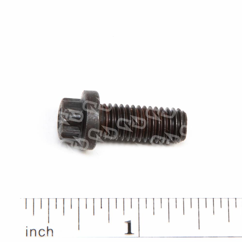 Detroit 12Point Bolt, M8 x 1.25 x 20 DDE 23506222 Diesel Dash