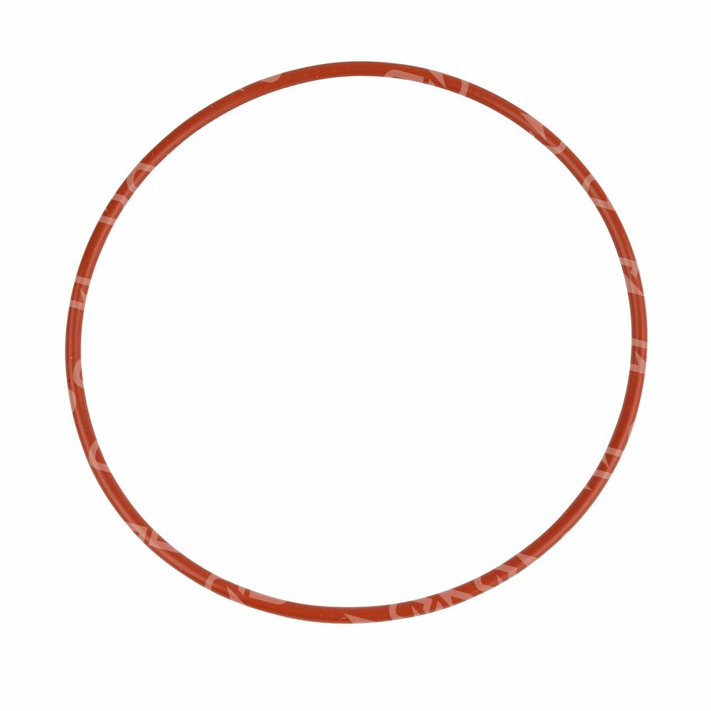 Detroit Water Pump Cover Seal Ring DDE 05101160 Diesel Dash