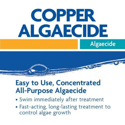 Leslie's  Copper Algaecide 1 qt Bottle